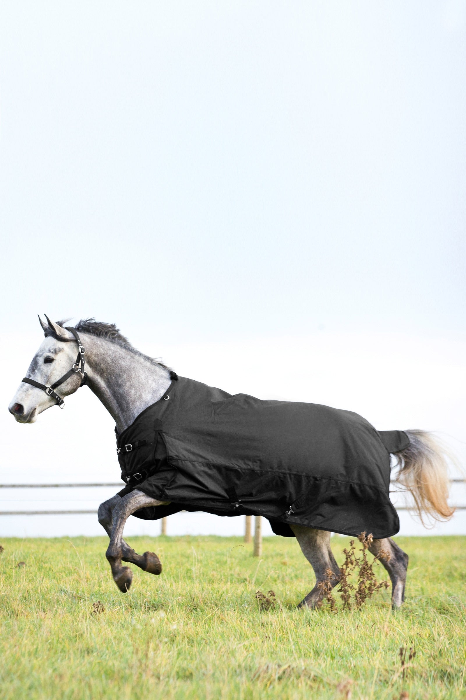 Horze Nevada Medium Weight Turnout Rug, 200g Horse Rugs