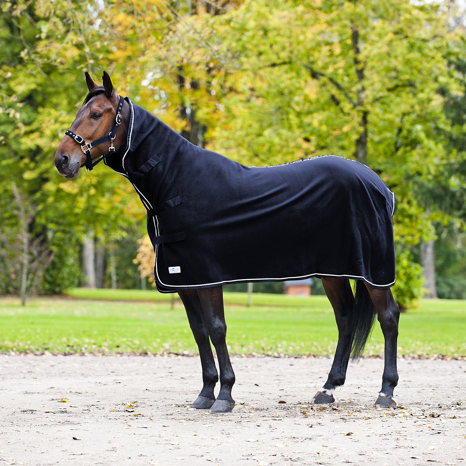 Finntack Pro High Neck Cooler Rug Horse Rugs
