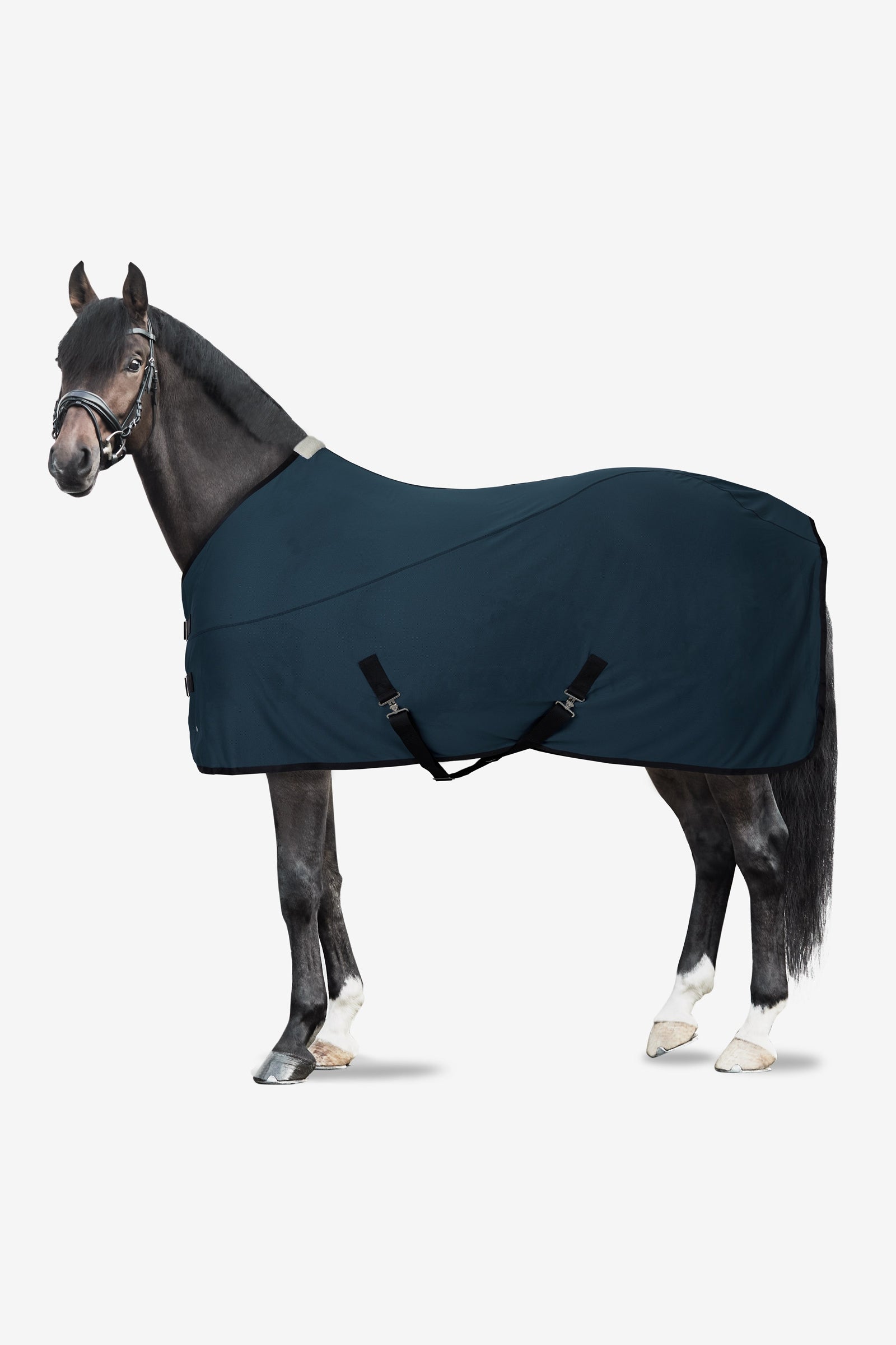 Horze LIMITED EDITION viilentävä loimi Loimet