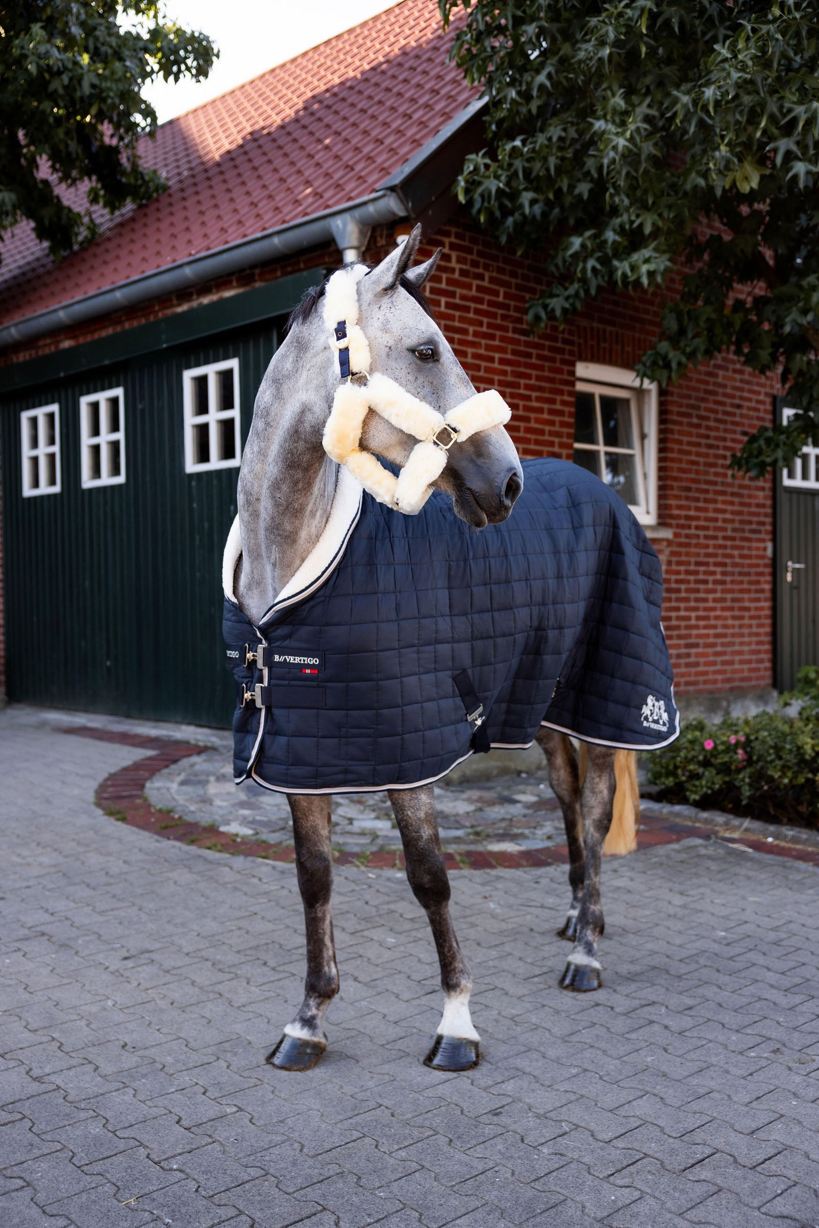 B Vertigo Theo Stable Rug, 150g Horse Rugs