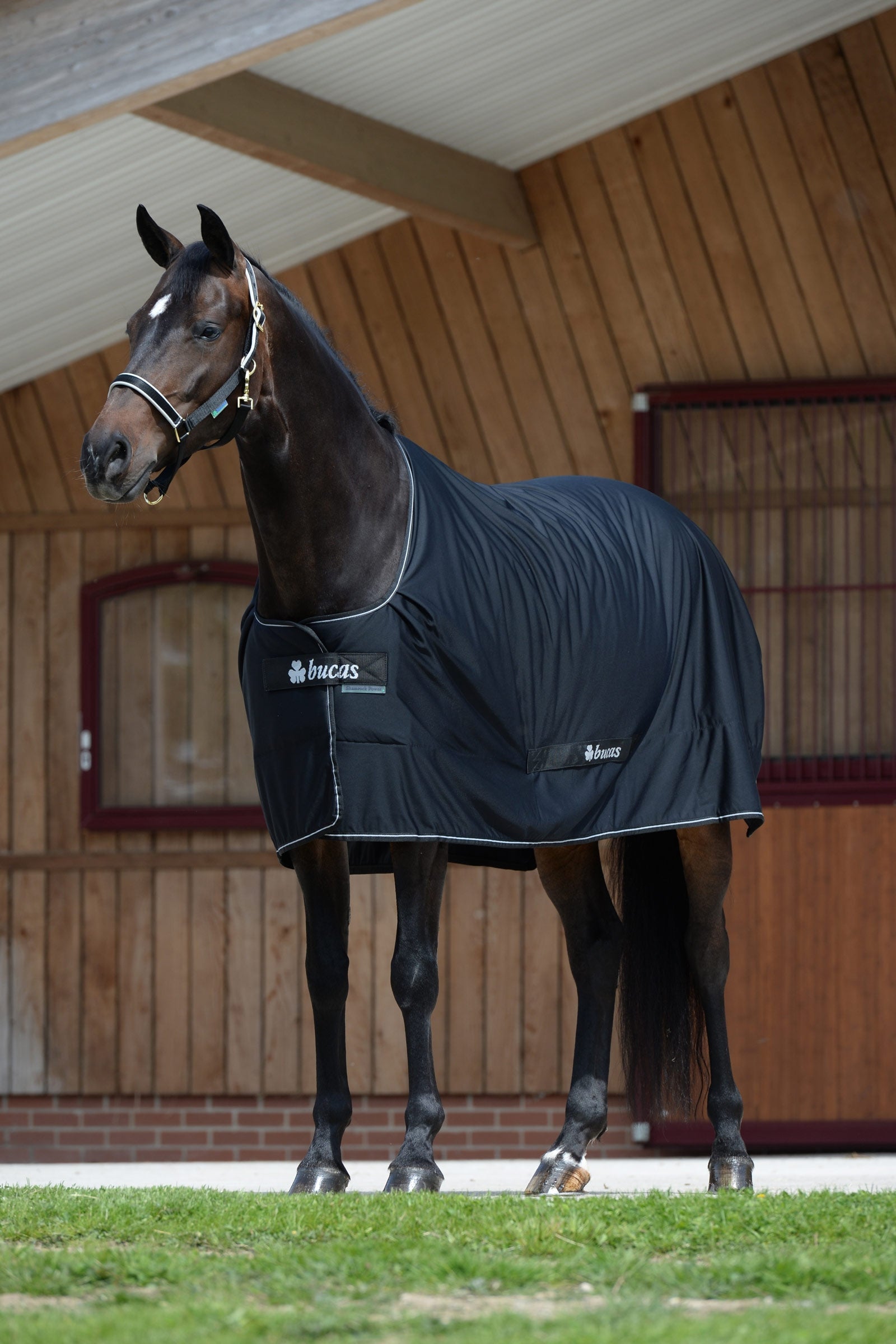 Bucas Shamrock Power Rug Horse Rugs