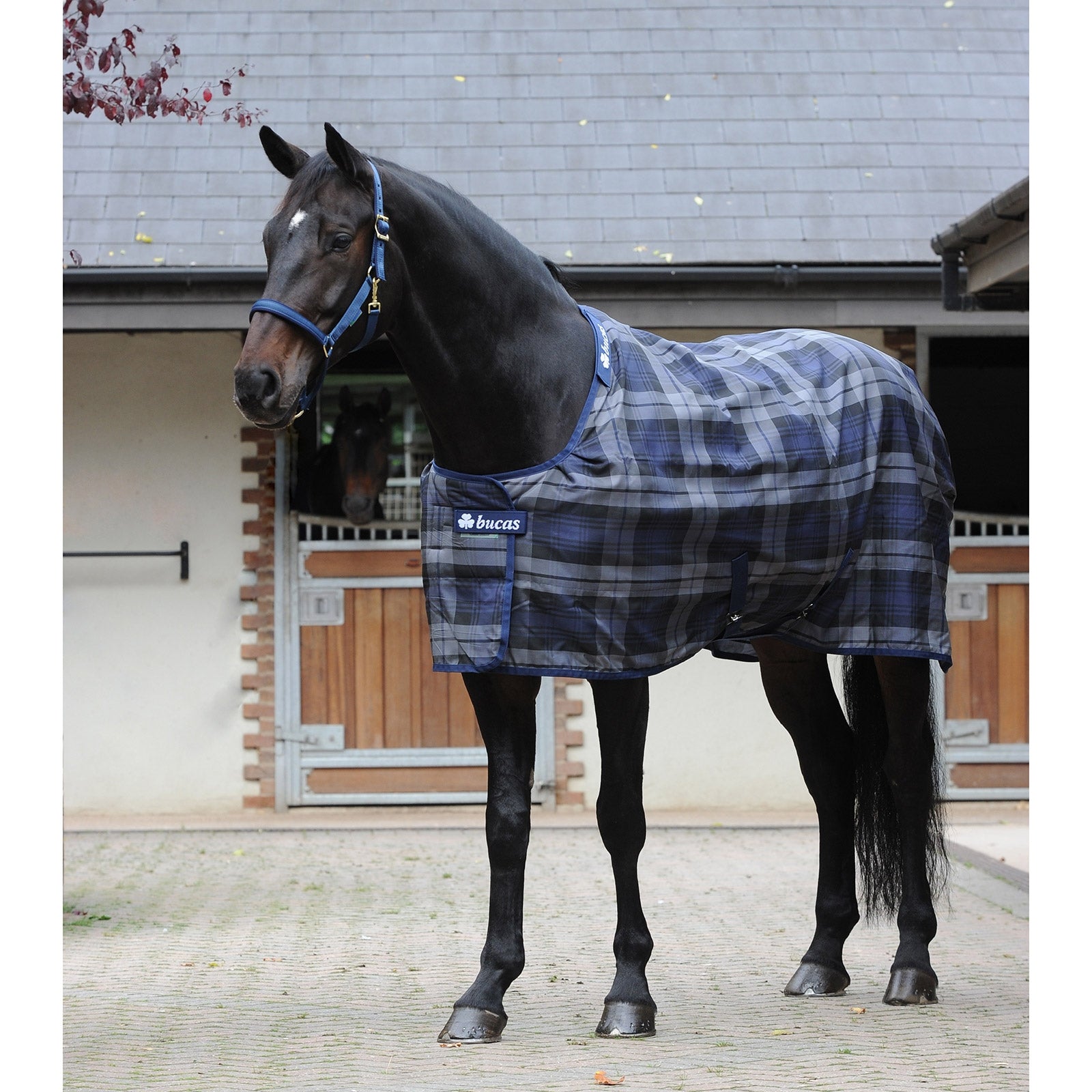 Bucas Celtic Stable Extra talviloimi Loimet