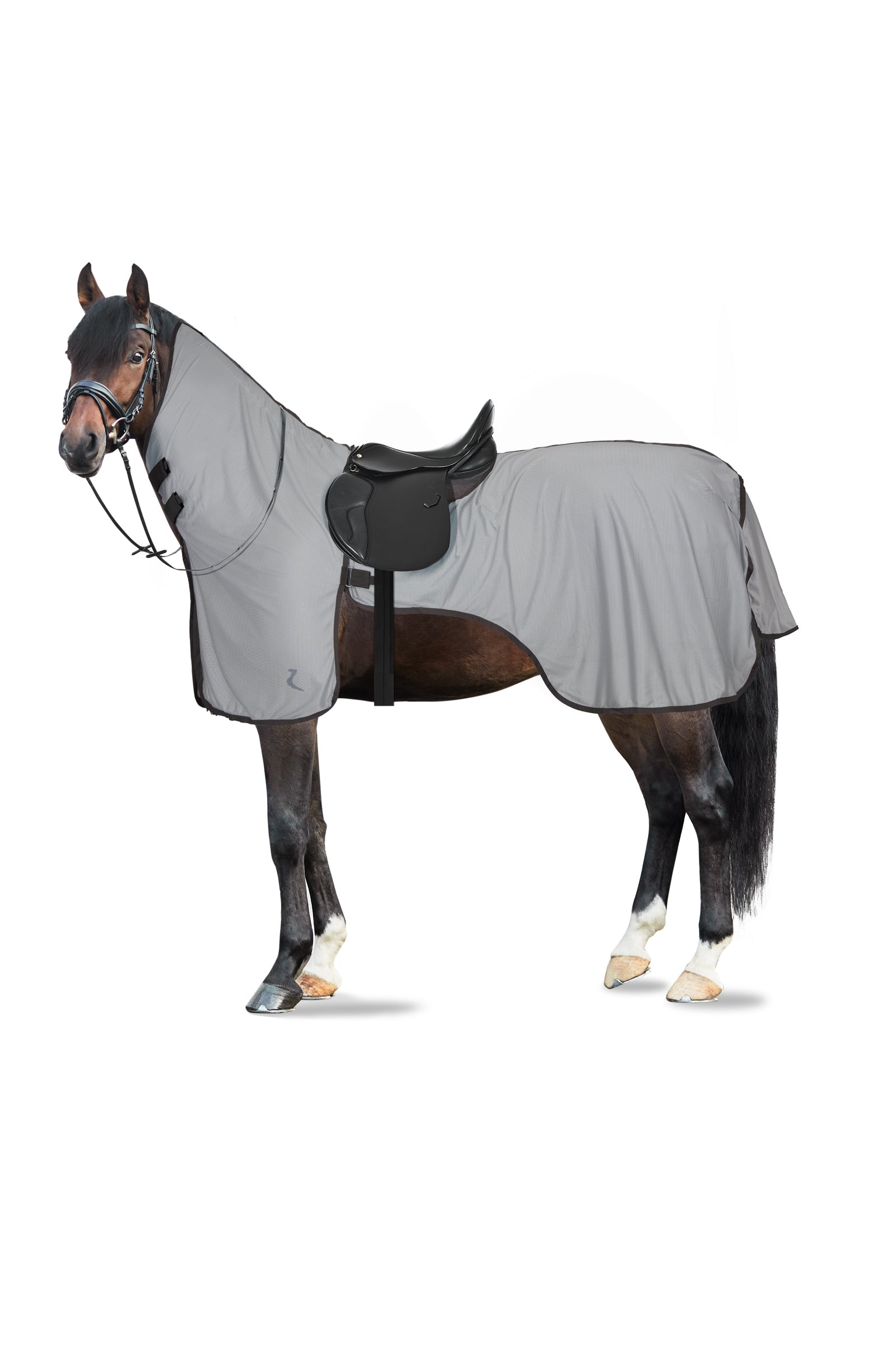 Horze Eira UV Fly Riding Rug With Detachable Neck Horse Rugs