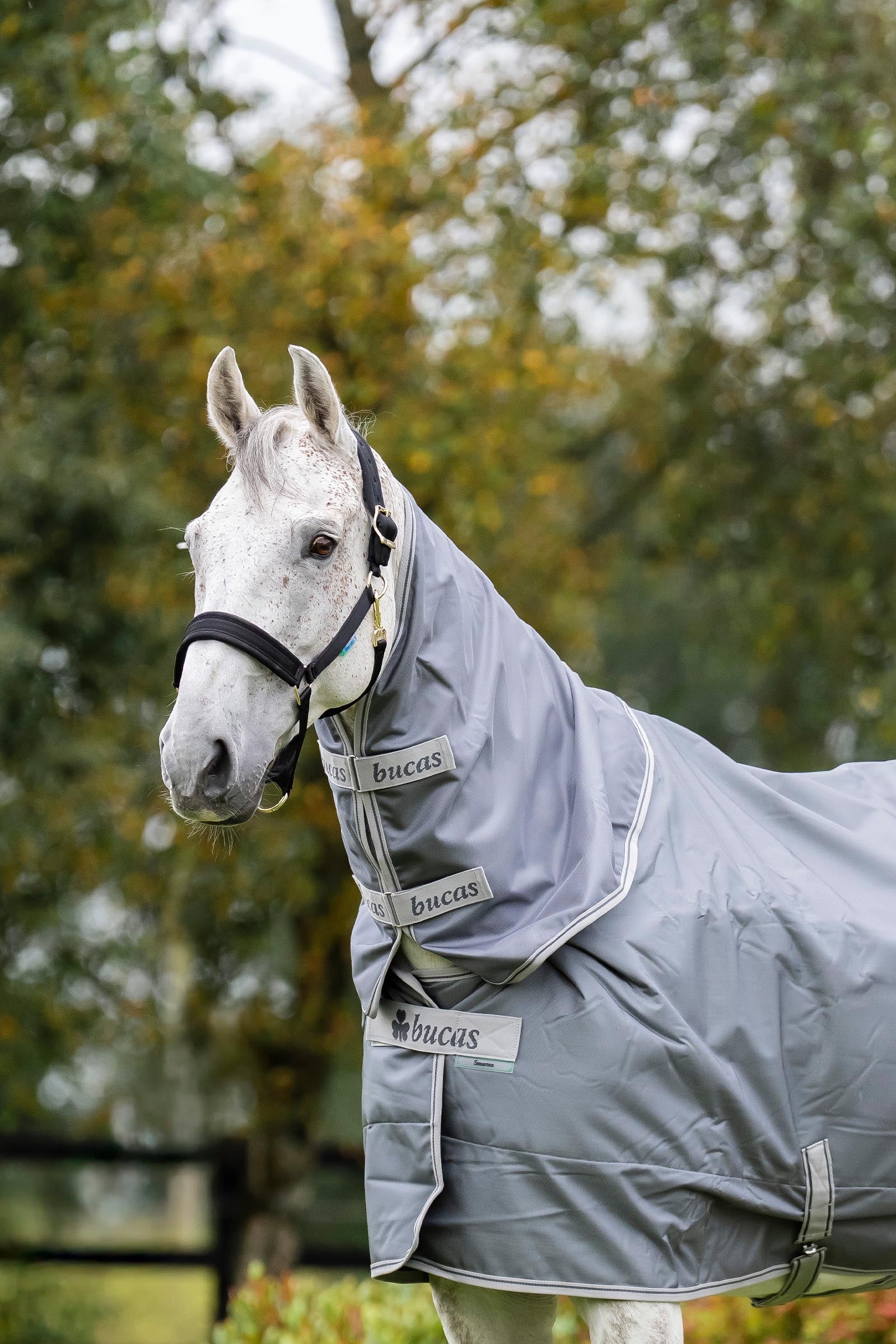 Bucas Smartex Neck, 0 g Horse Rugs