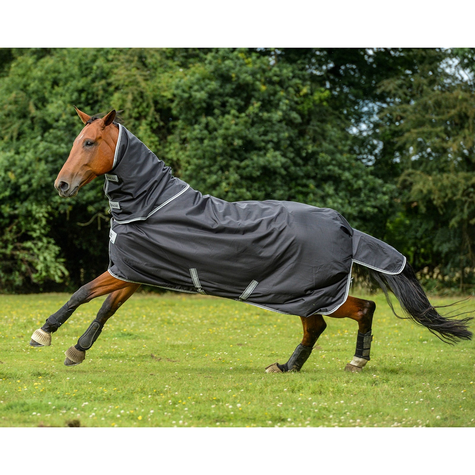 Bucas Smartex Neck kaulakappale, 0 g Loimet