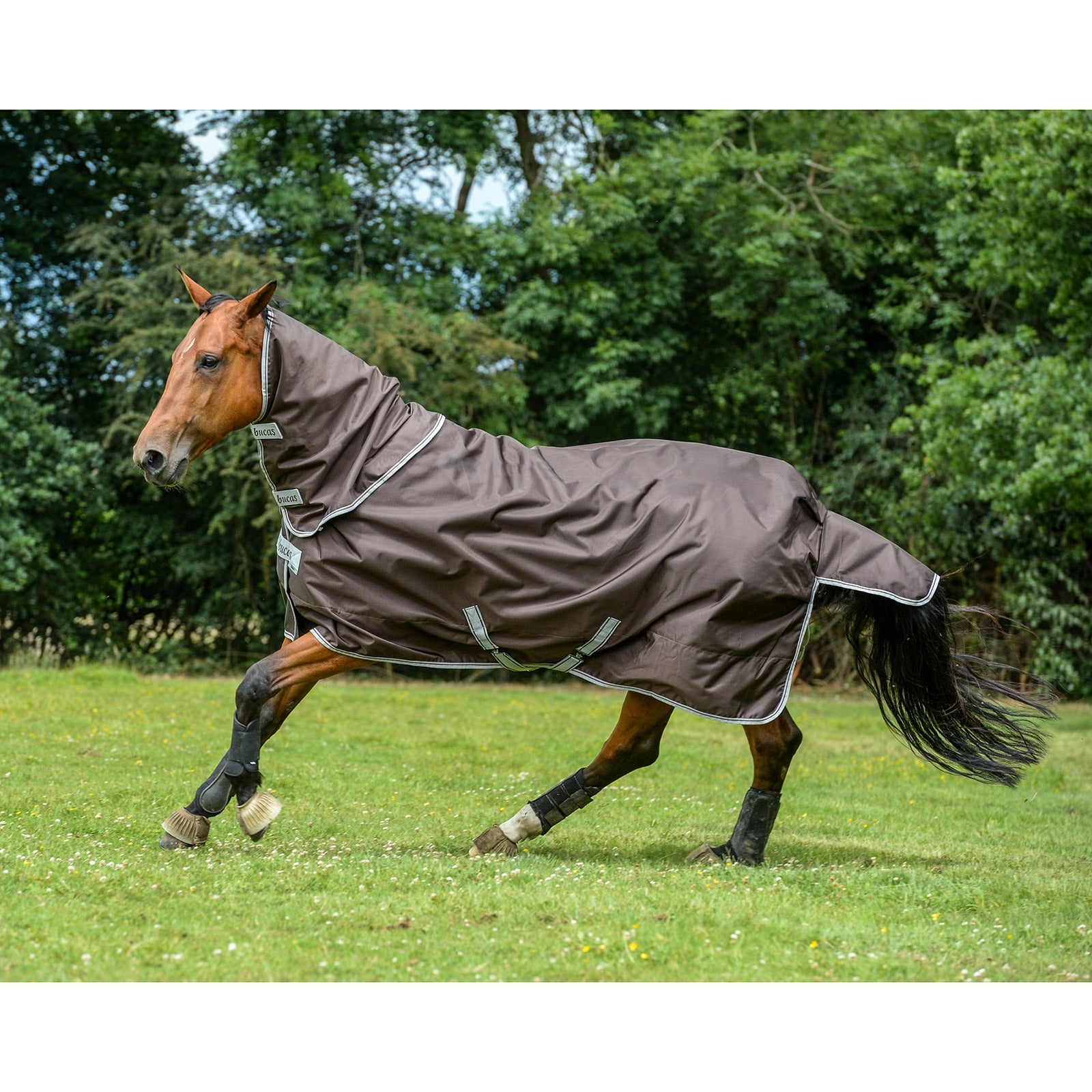 Bucas Smartex Neck kaulakappale, 0 g Loimet