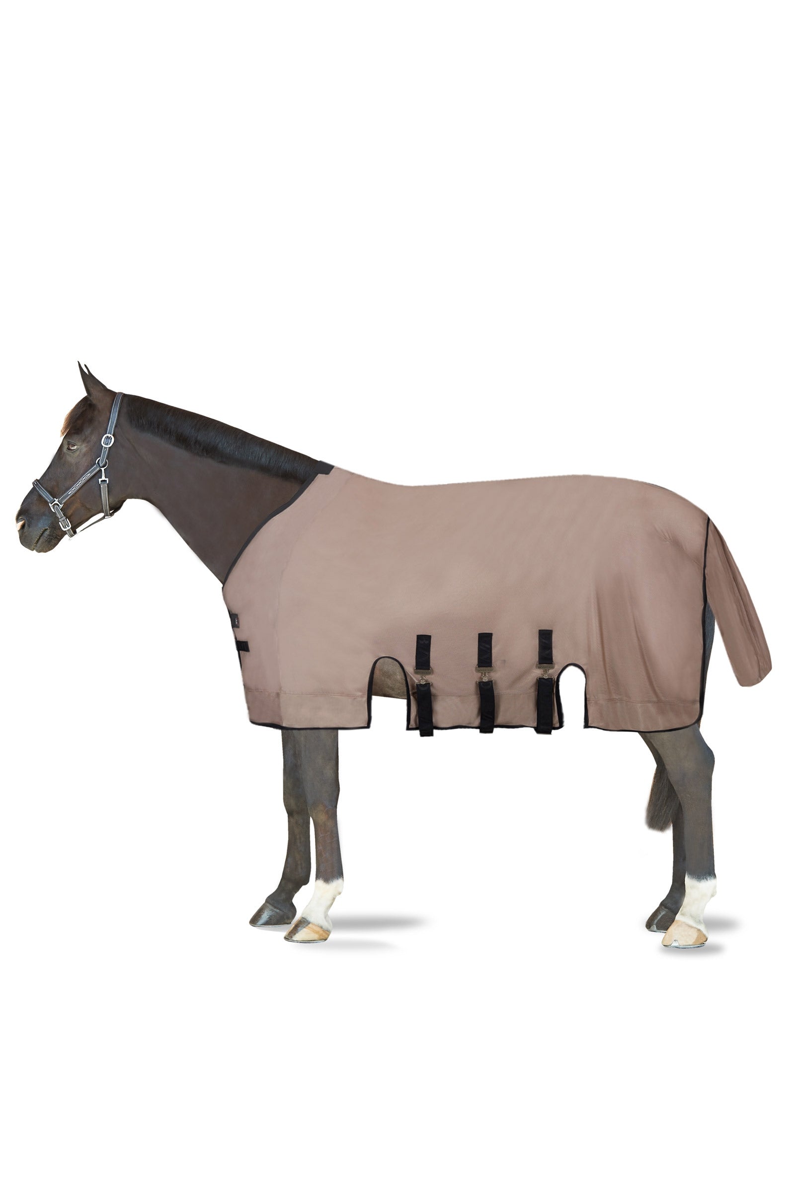 B Vertigo Delux Fly Rug with Detachable Neck and UV Protection Horse Rugs