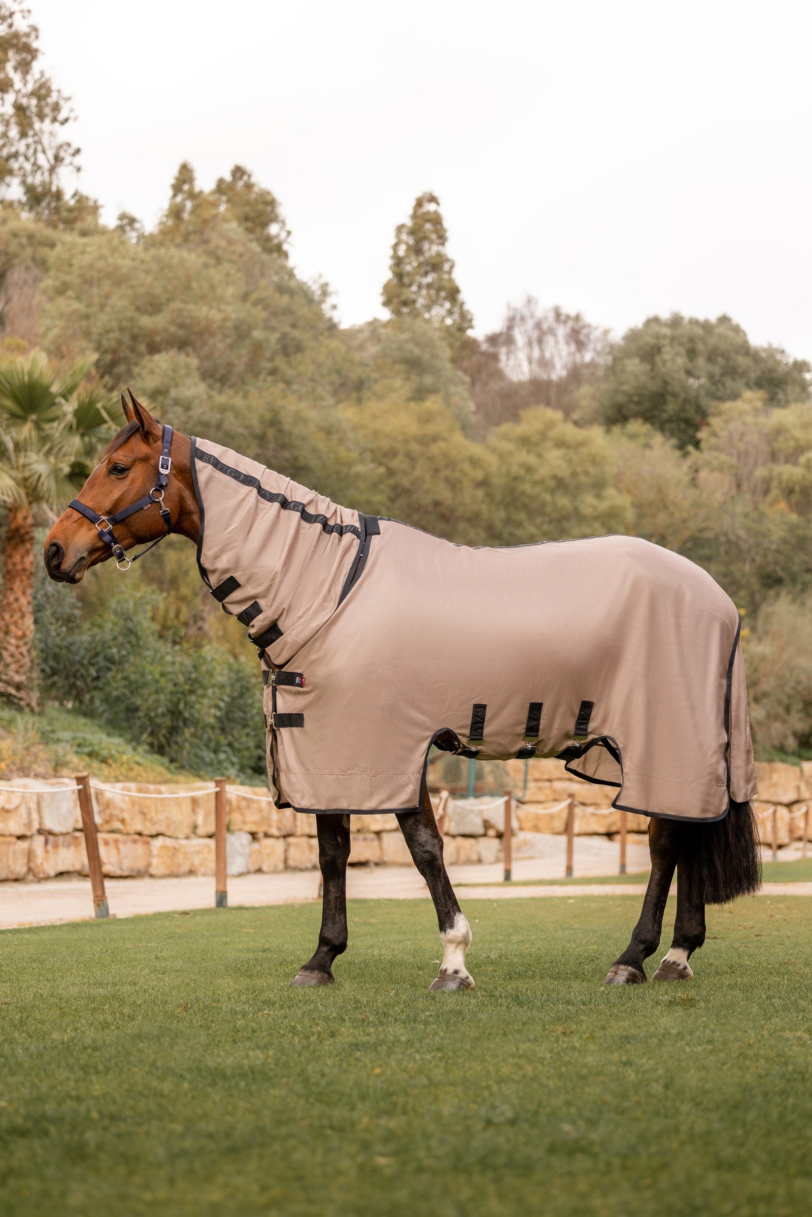 B Vertigo Delux Fly Rug with Detachable Neck and UV Protection Horse Rugs