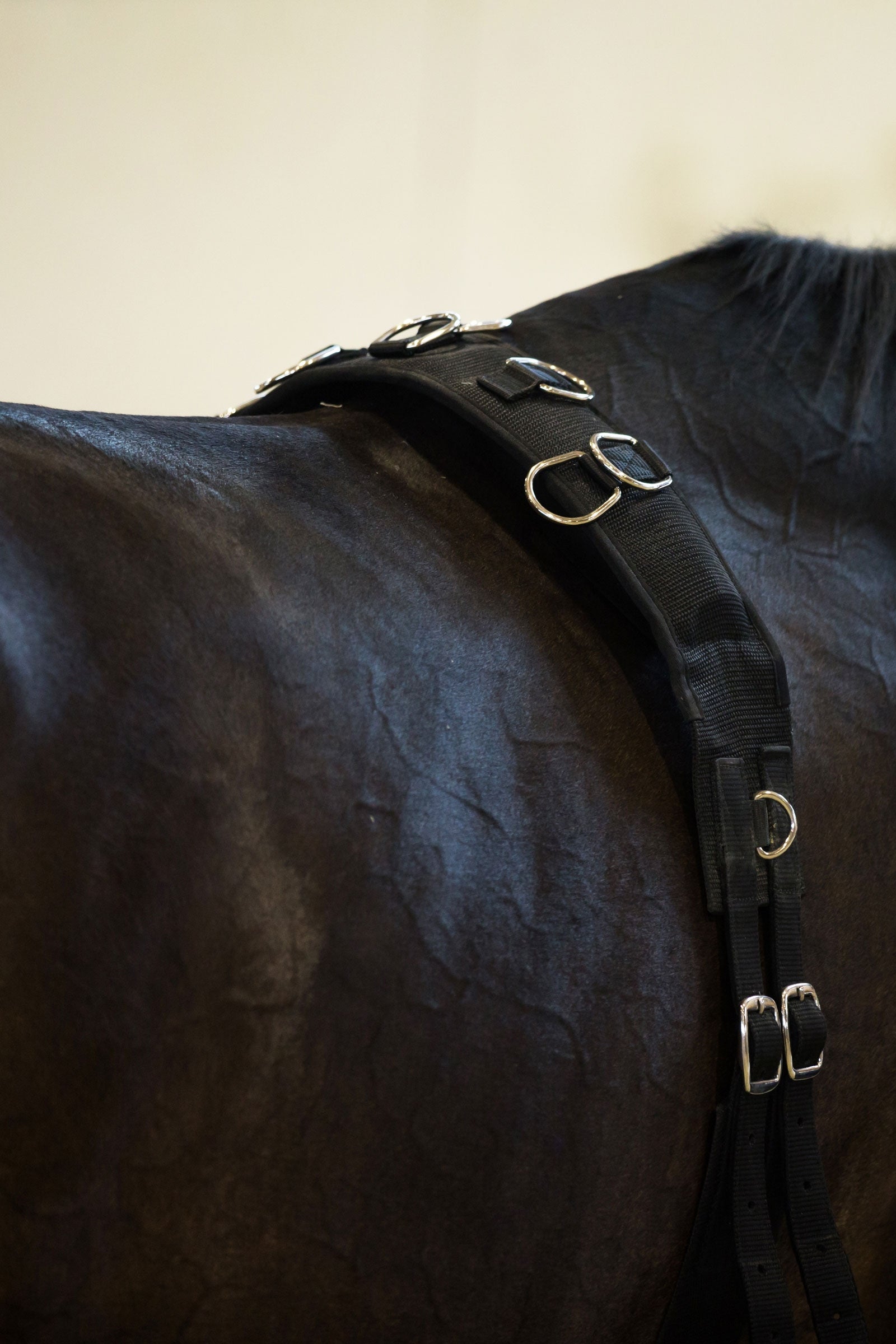 Horze Lunging Girth, Nylon Horse Training