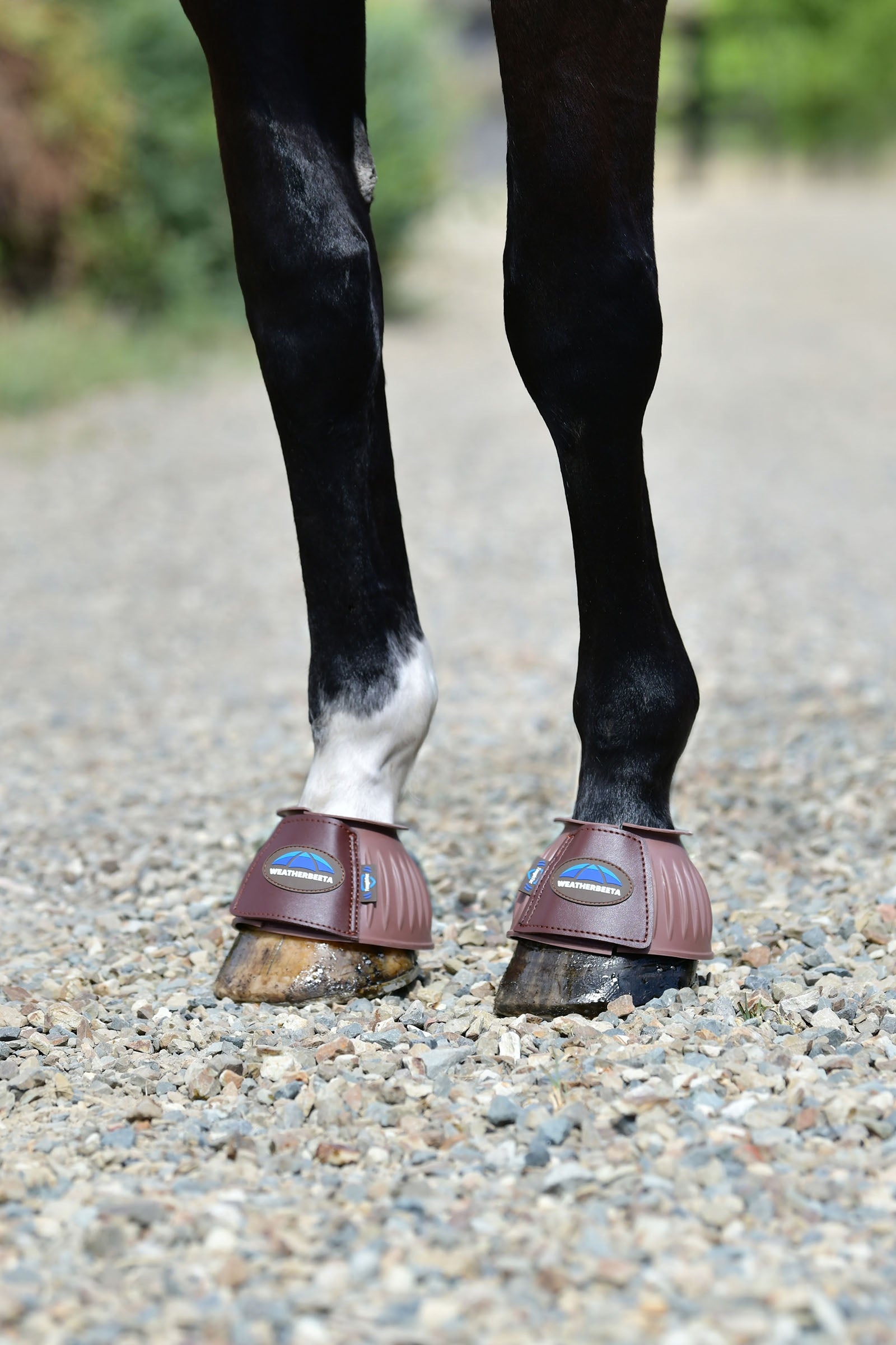 Weatherbeeta Tough-Tec Prime Rubber Bell Boots Leg Protection & Hoof Protection for Horses