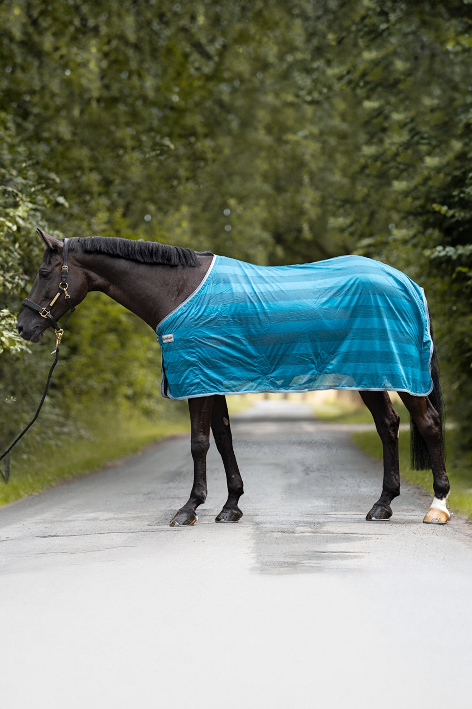 Kavalkade Stripe kärpäsloimi Loimet