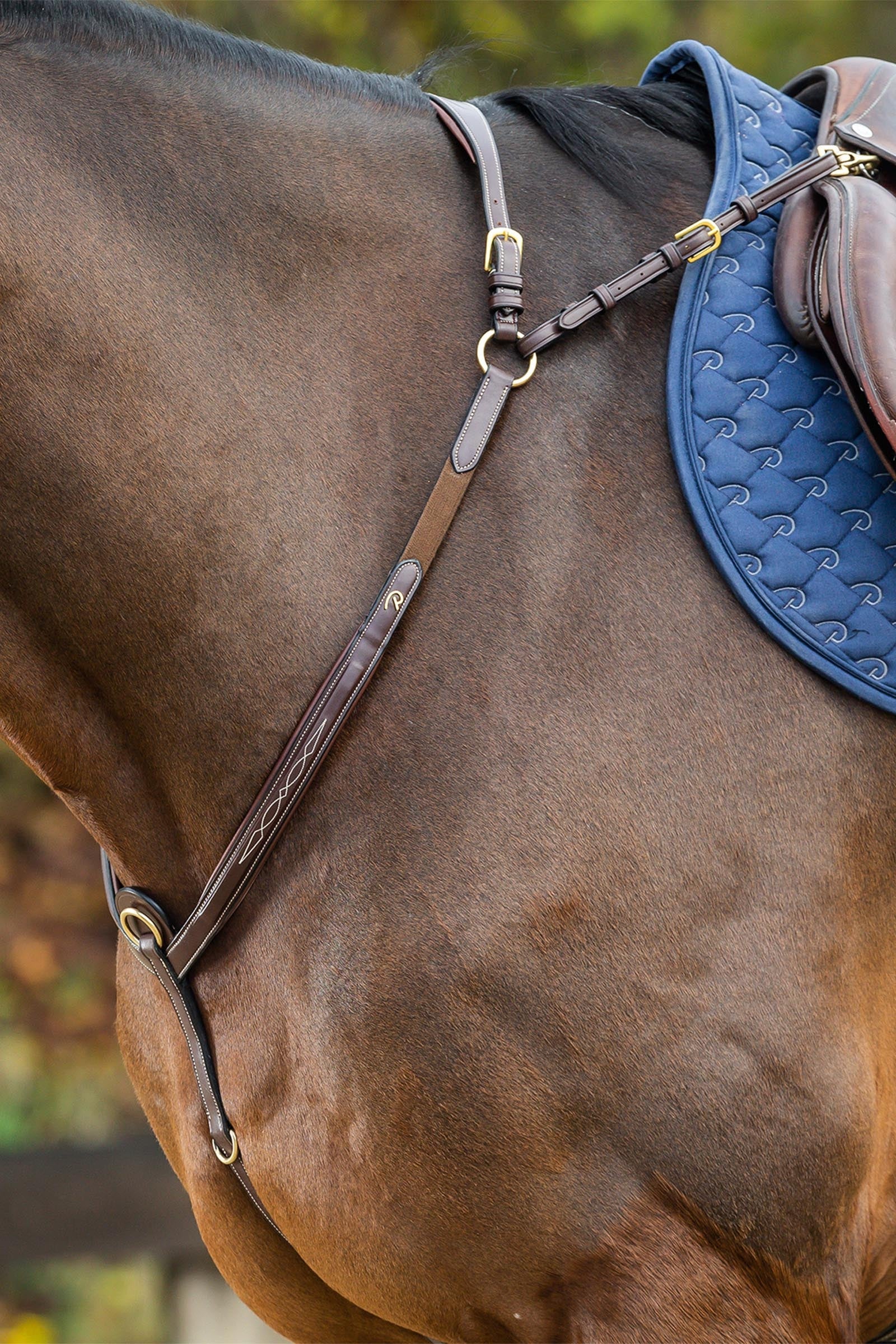 Dy'on D Collection Bridge Breastplate Bridles & Reins