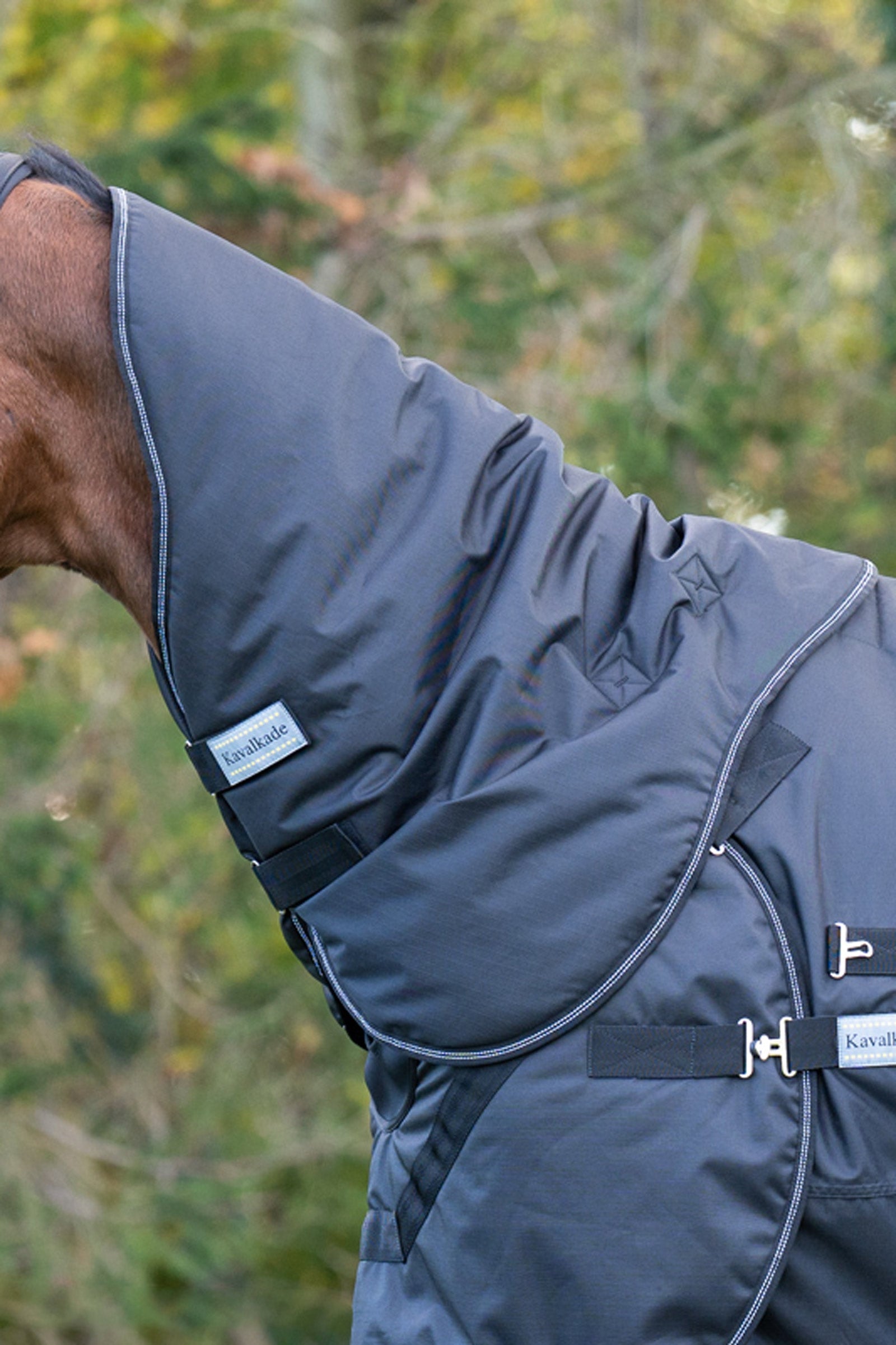 Kavalkade Halifax kaulakappale 2in1 Ulkoloimi ja Kävelytysloimi Loimet