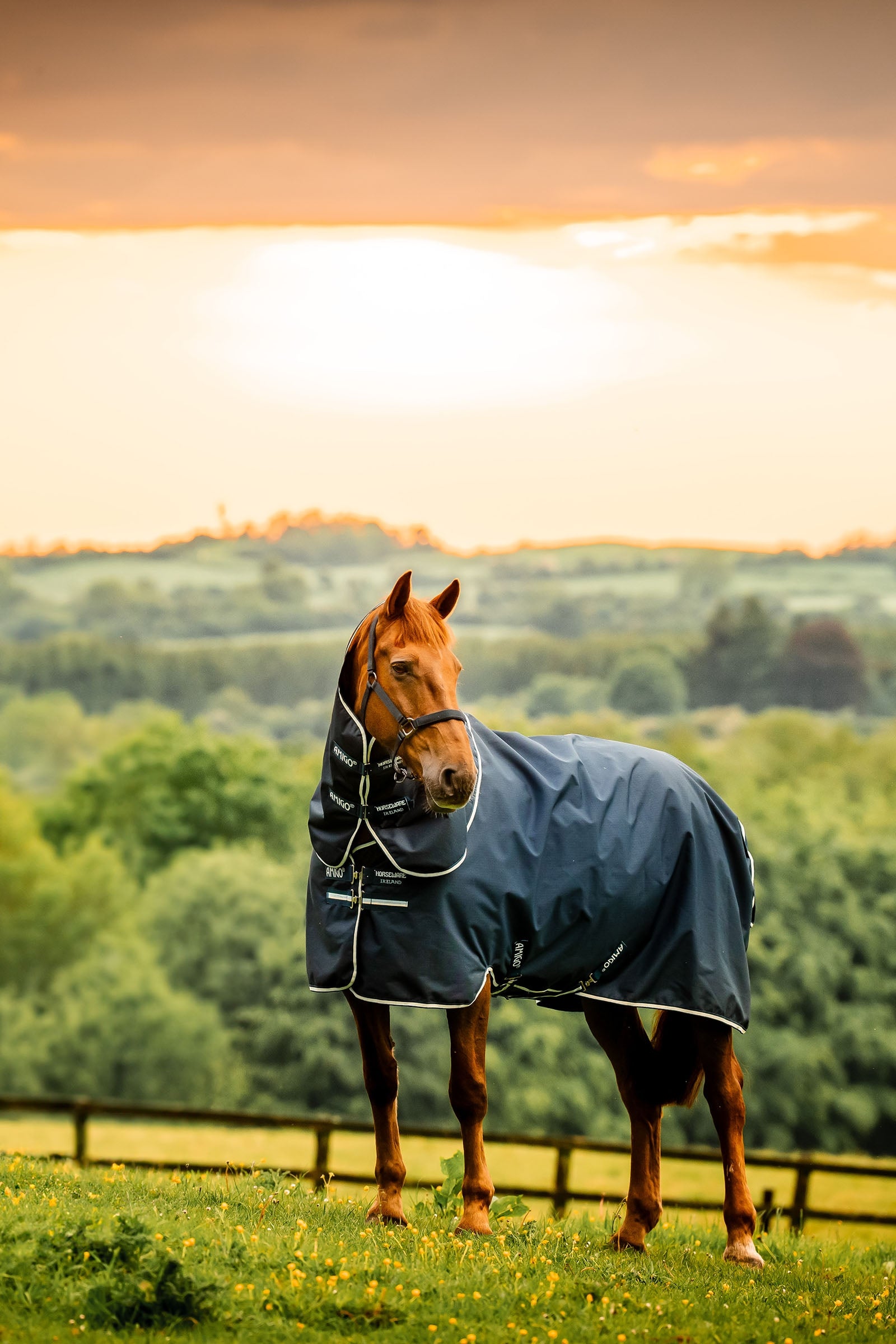 Horseware Amigo Ripstop 900D Plus ulkoloimi irrotettavalla kaulaosalla, 100 g Loimet