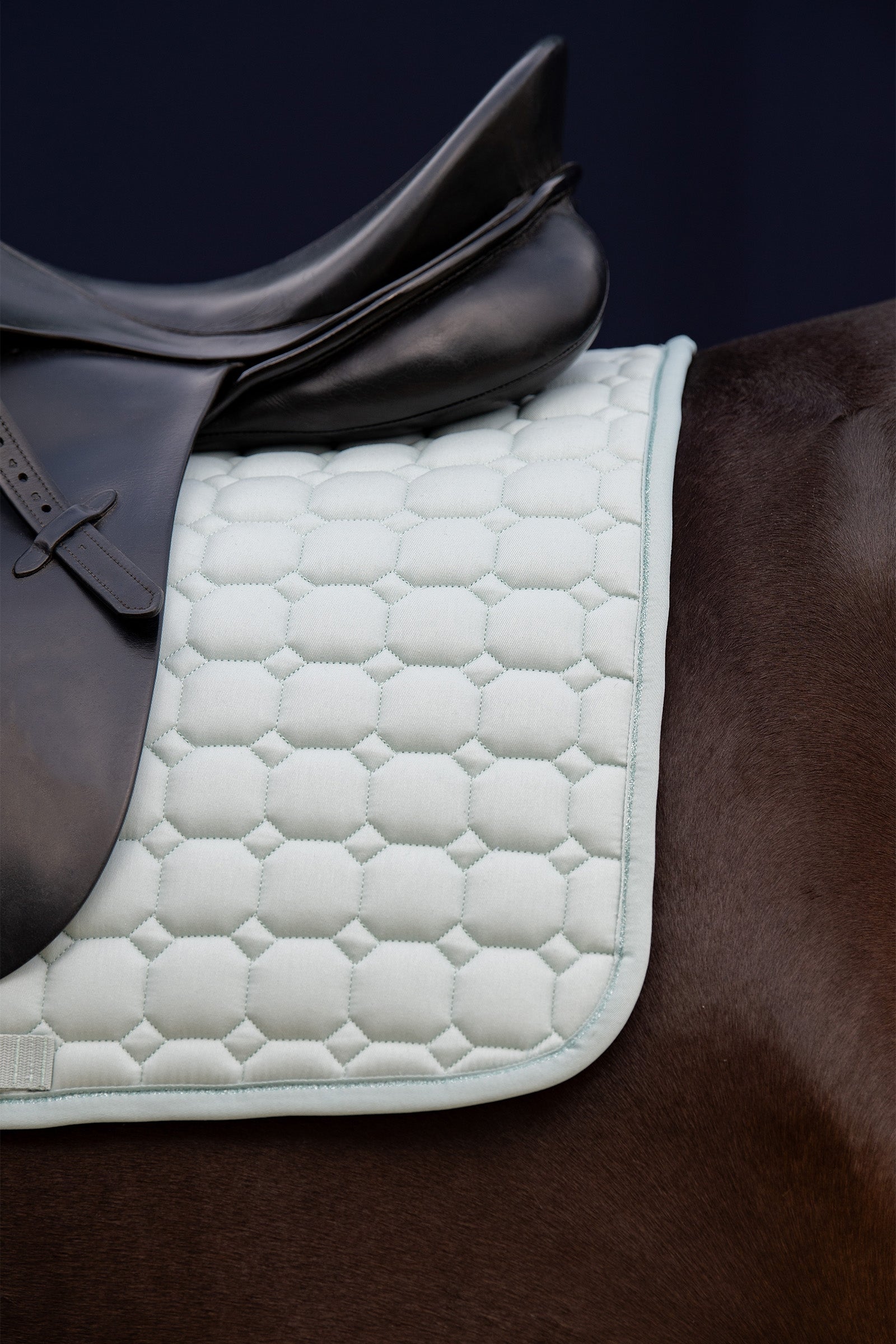 Eskadron Classic Sports Dressage Saddle Cloth Cotton SS24 Saddle Pads