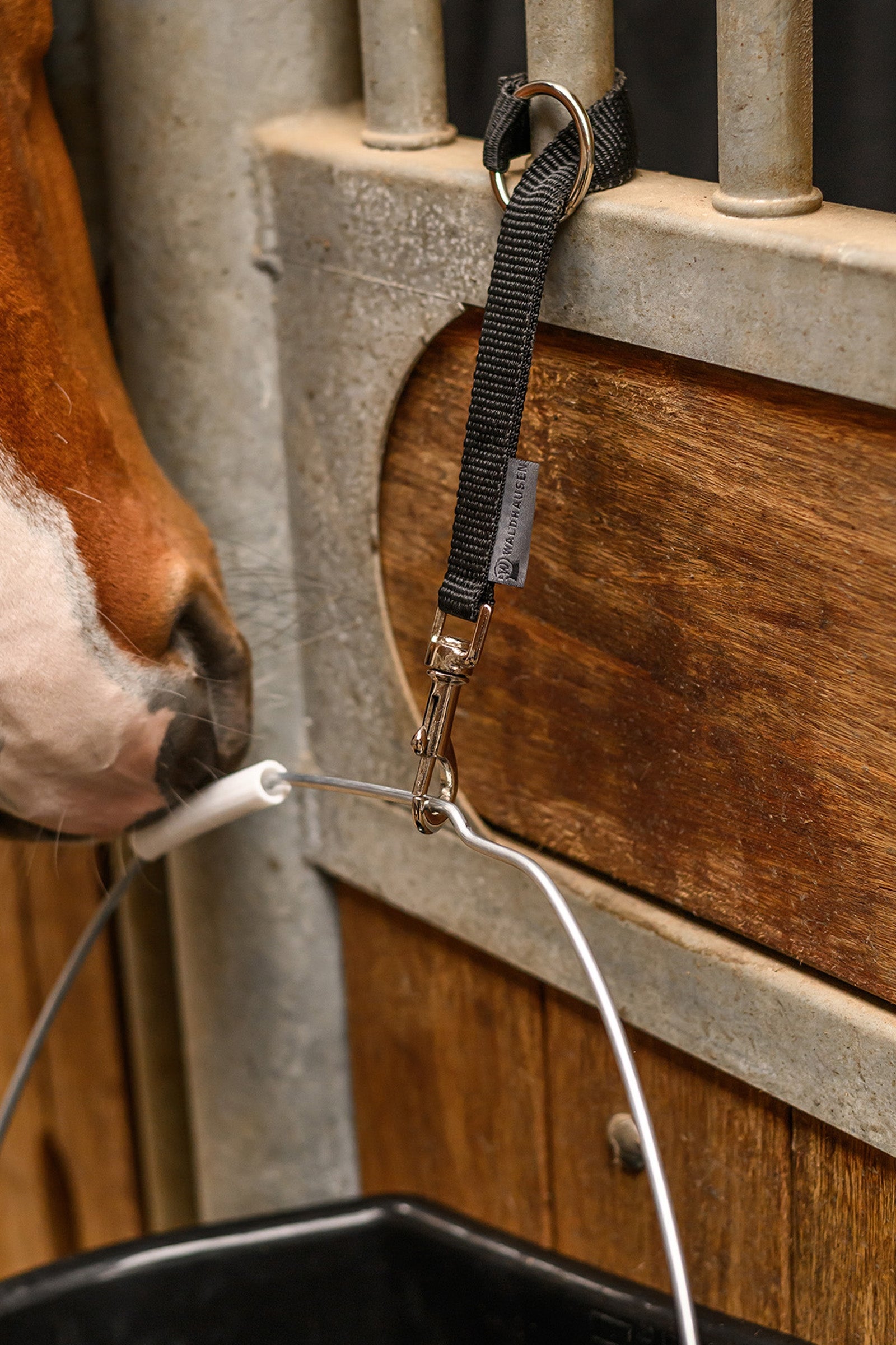 Waldhausen Functional Holder For Buckets, Salt Lick Stones & Horse Toys Stable Equipment