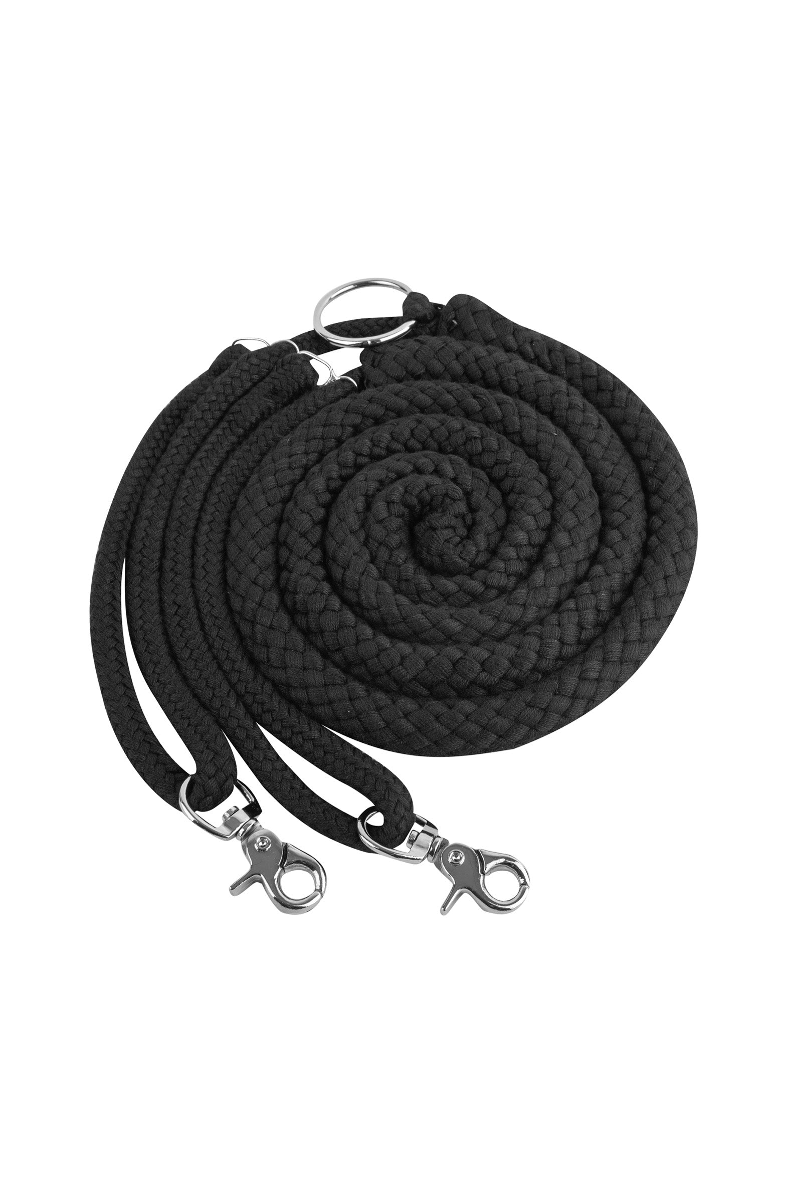 Waldhausen Longeerisapu Juoksutus & ohjasajo