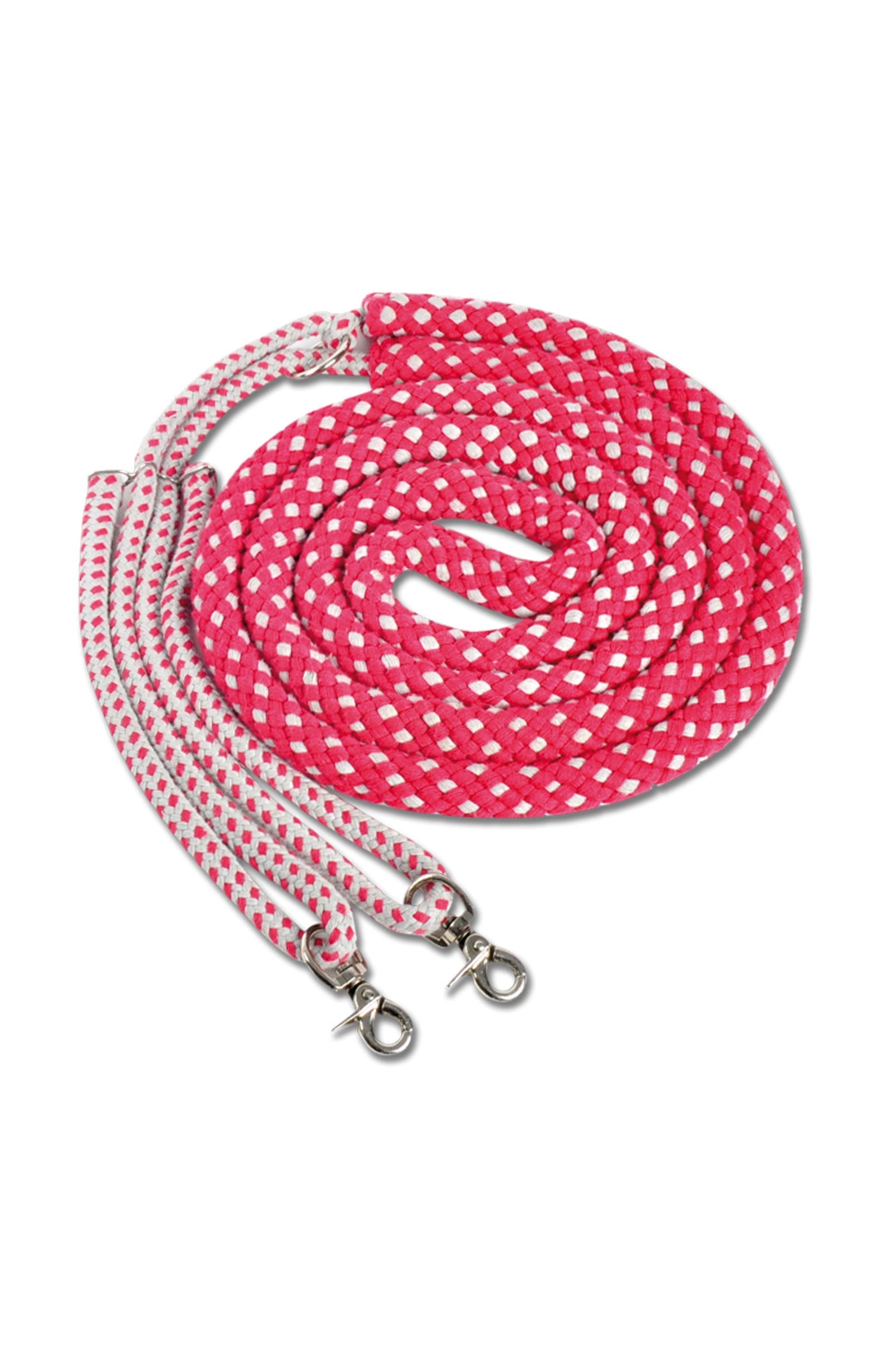 Waldhausen Longeerisapu Juoksutus & ohjasajo