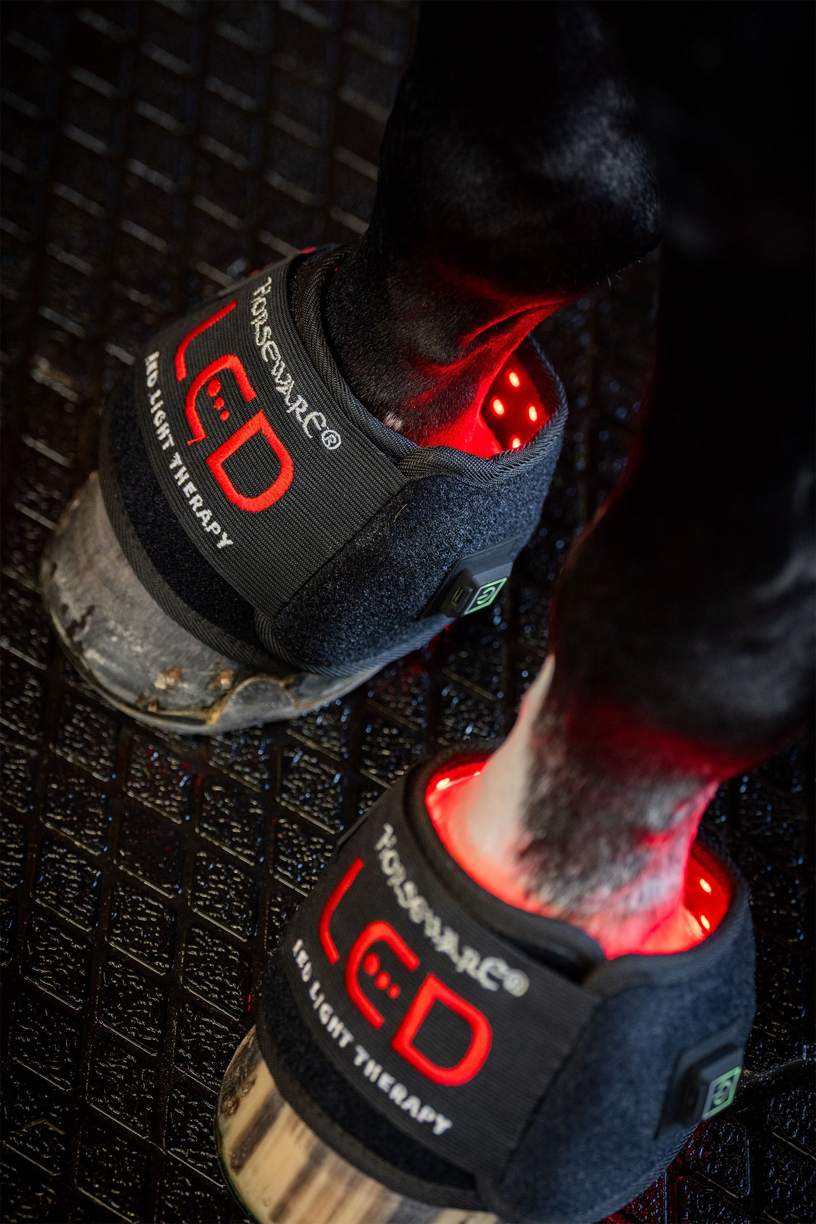 Horseware LED punavalohoitoinen mini hevosbootsi (1 kpl) Leg & Hoof Protection