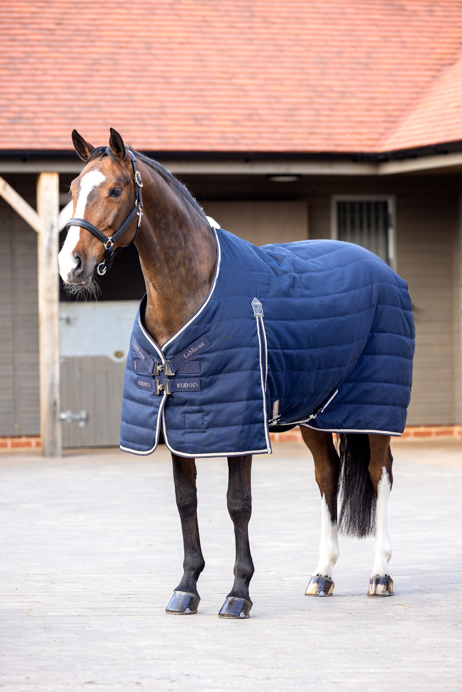 LeMieux Kudos Stable Rug, 100g Loimet