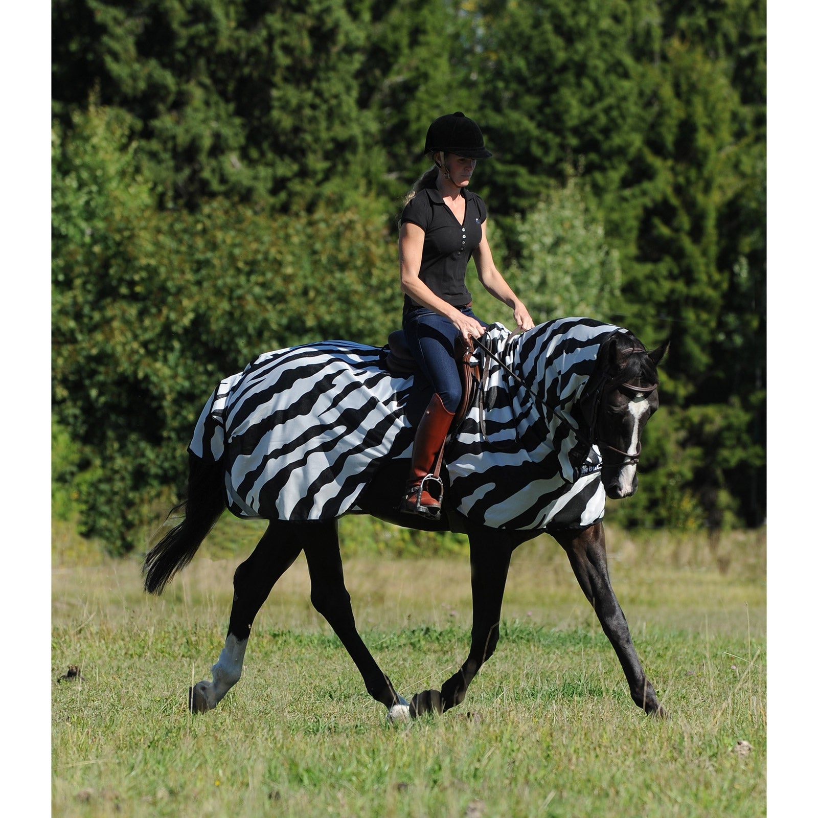 Bucas Buzz-Off Zebra ratsastusloimi Loimet