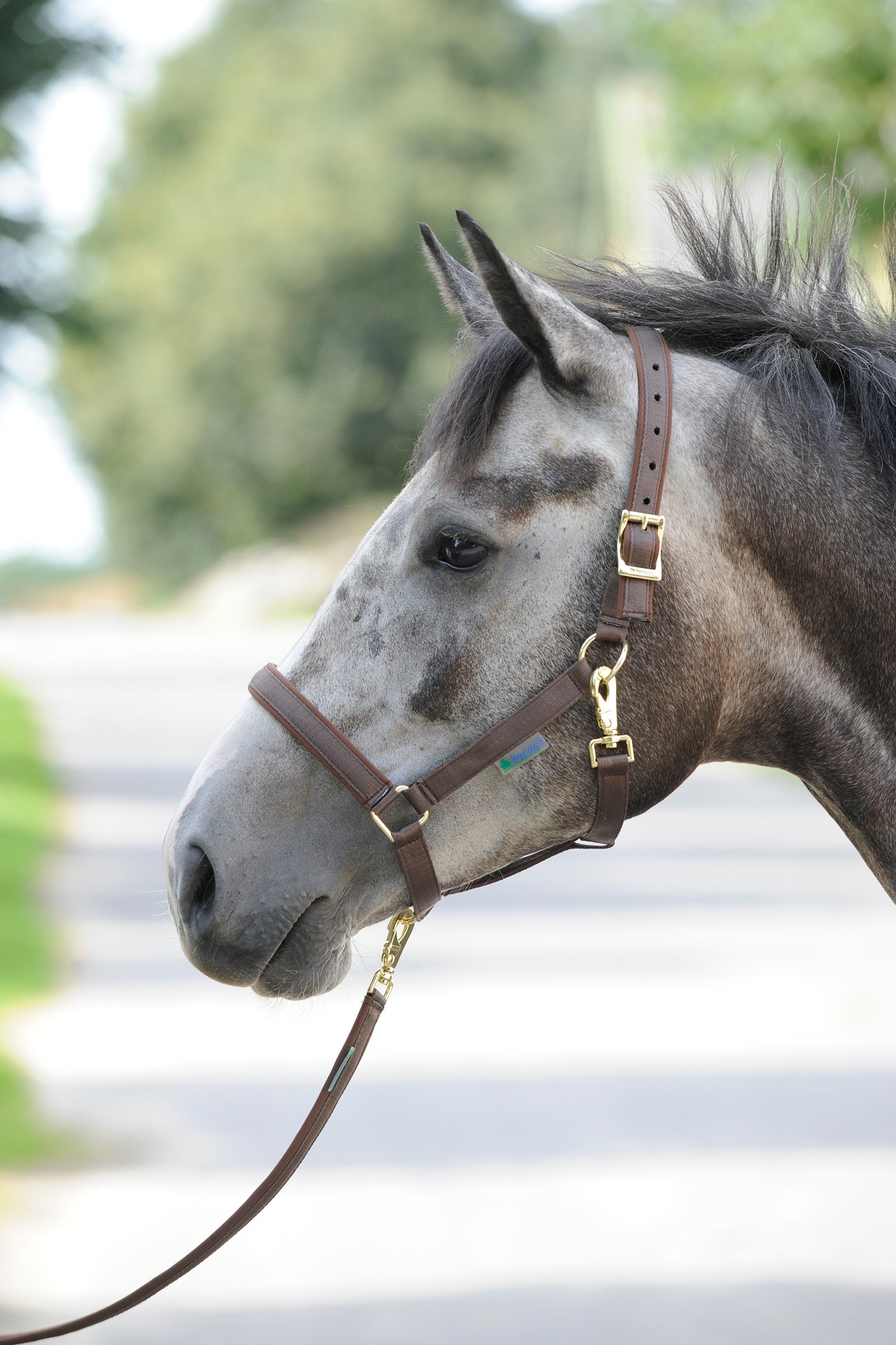 Bucas Dublin Luxury pehmustettu riimu Riimut & riimunnarut