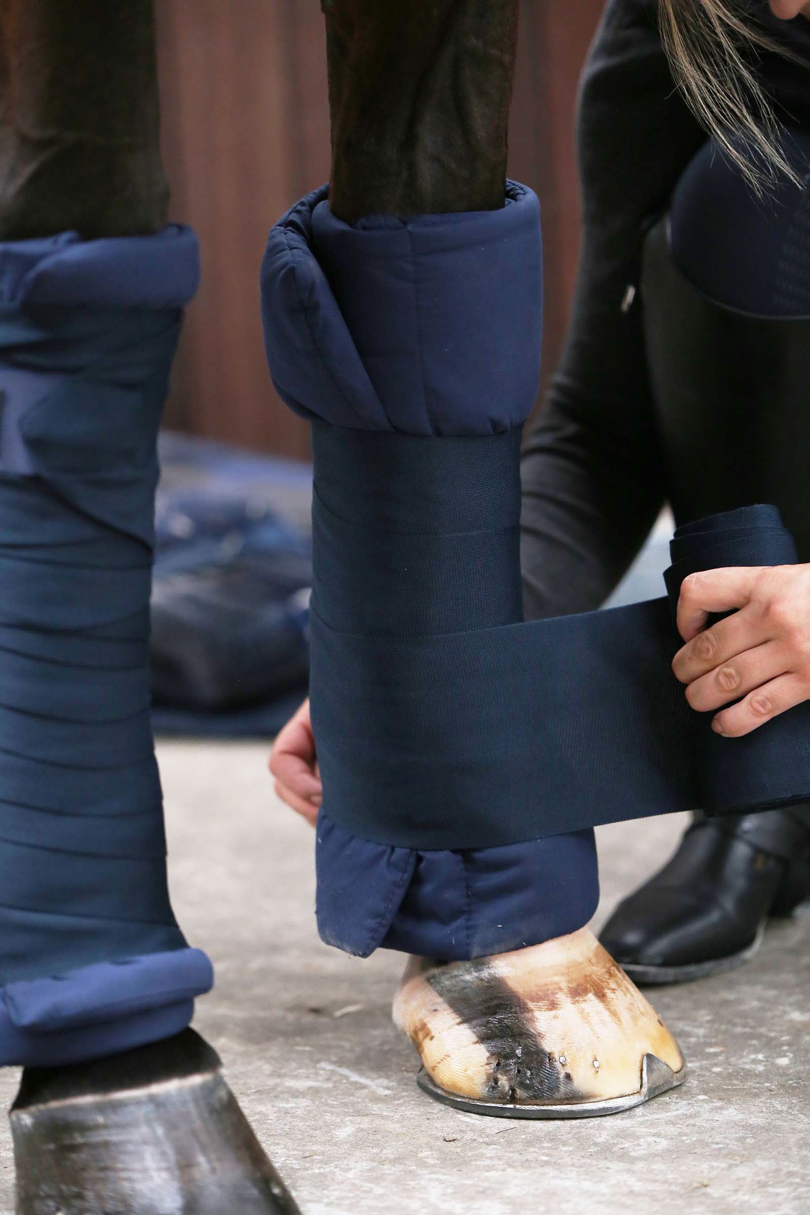 Kentucky Horsewear Stable bandage pad, set of 4 Leg Protection & Hoof Protection for Horses