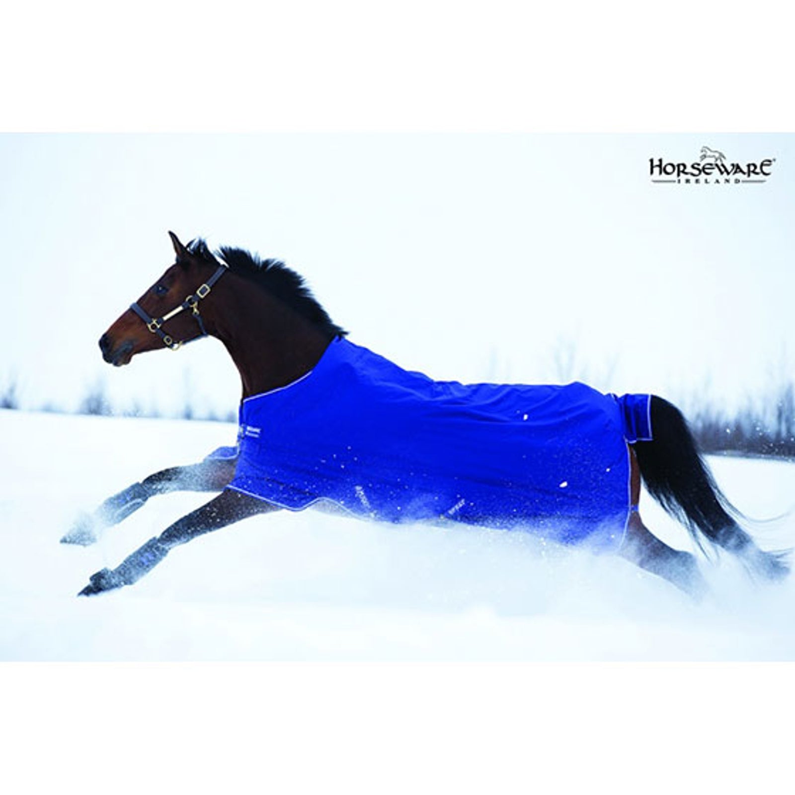 Horseware Amigo Hero-6 Lite, 0g Loimet