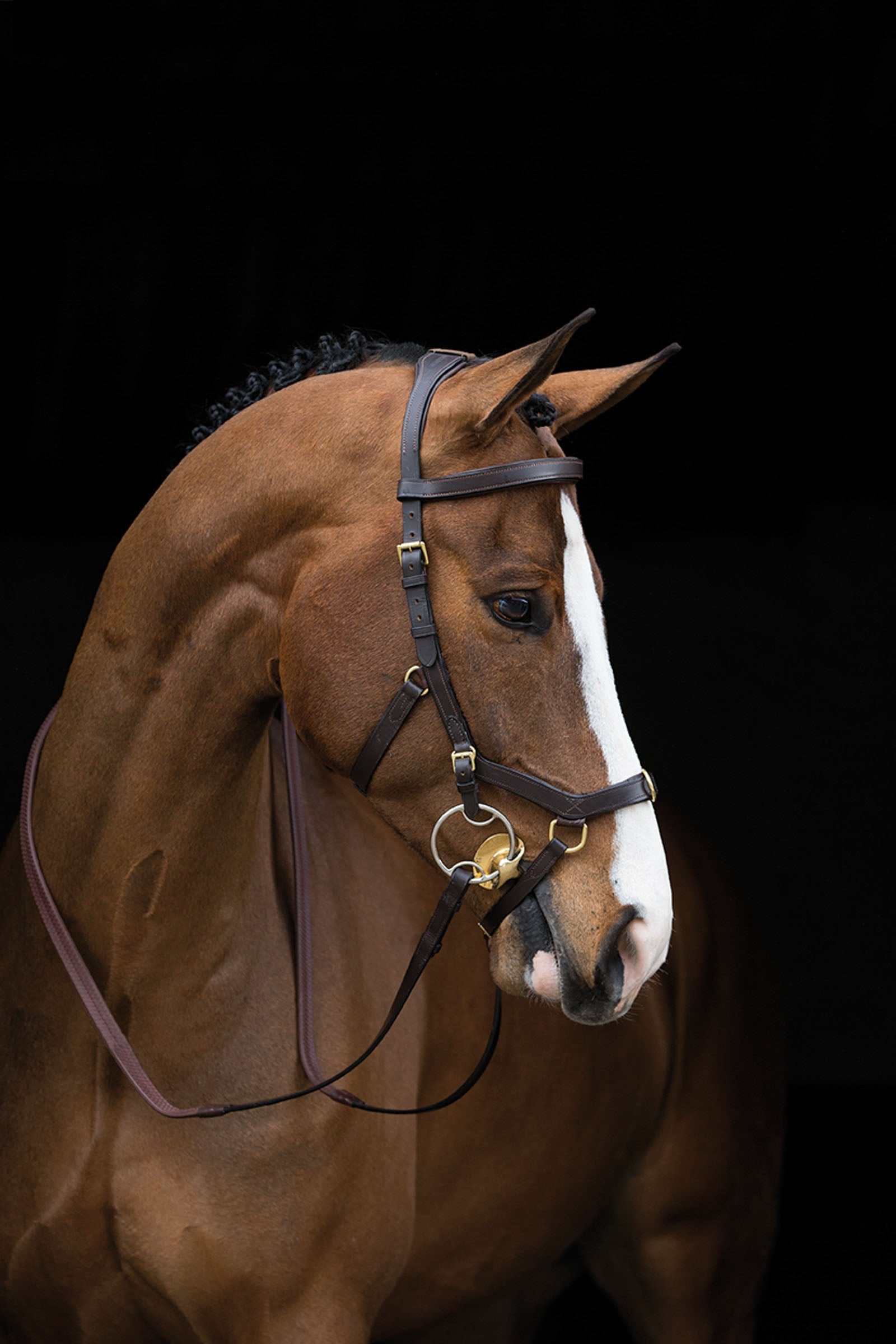 Horseware Rambo Micklem Multi suitset Suitset & Ohjat