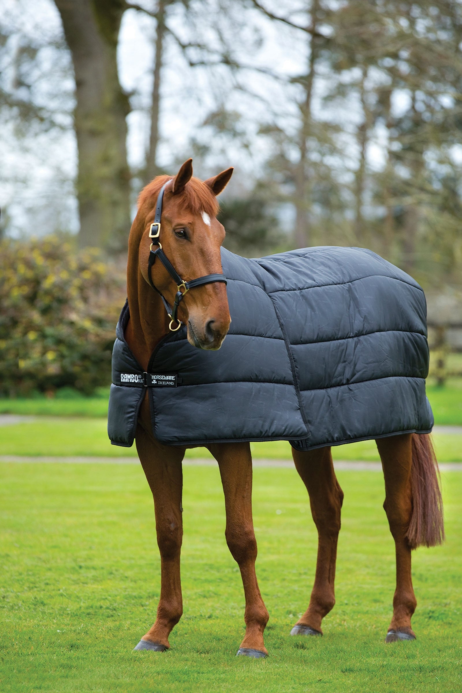 Horseware Rambo Optimo lisävuori 200 g Loimet