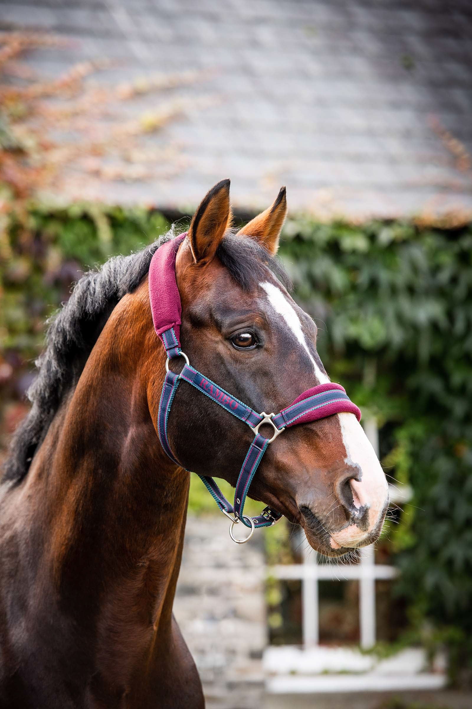 Horseware Rambo topattu riimu Riimut & riimunnarut