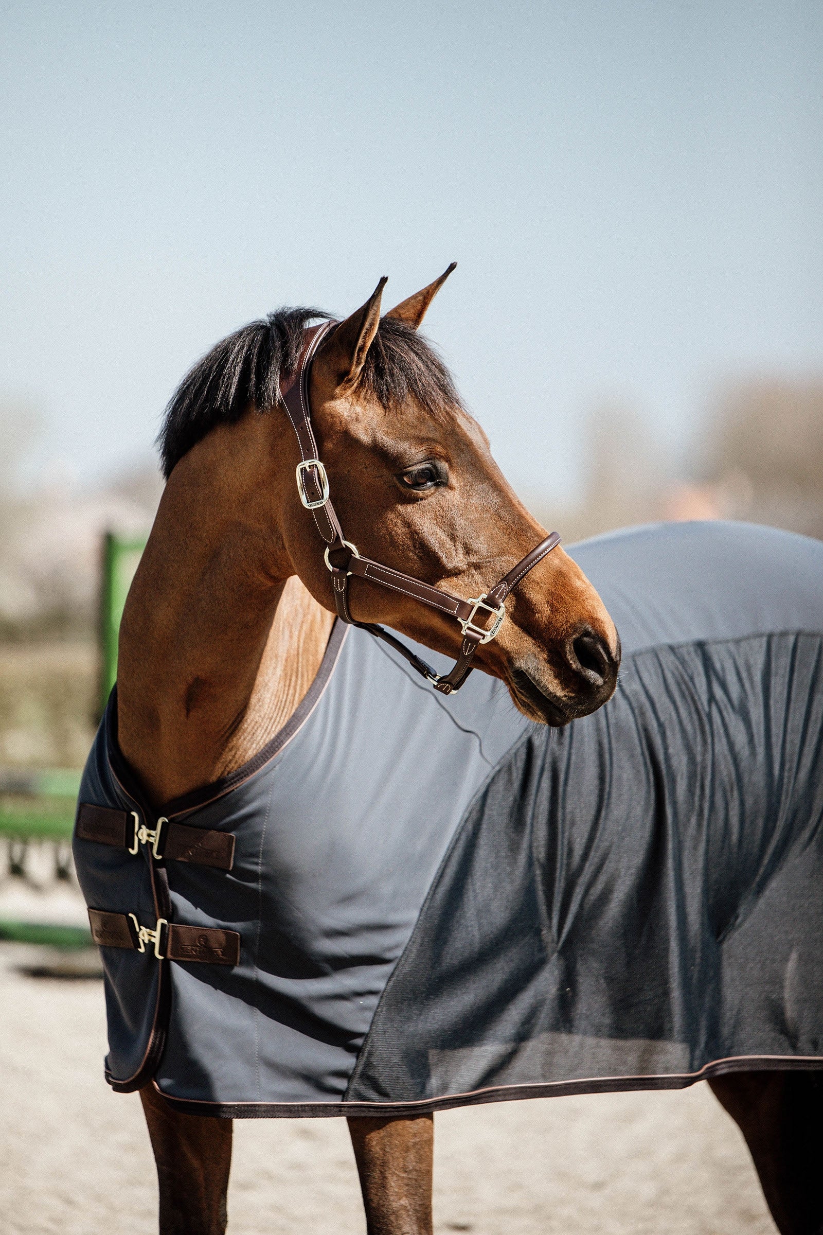 Kentucky Horsewear Softshell-loimi Cooler Loimet