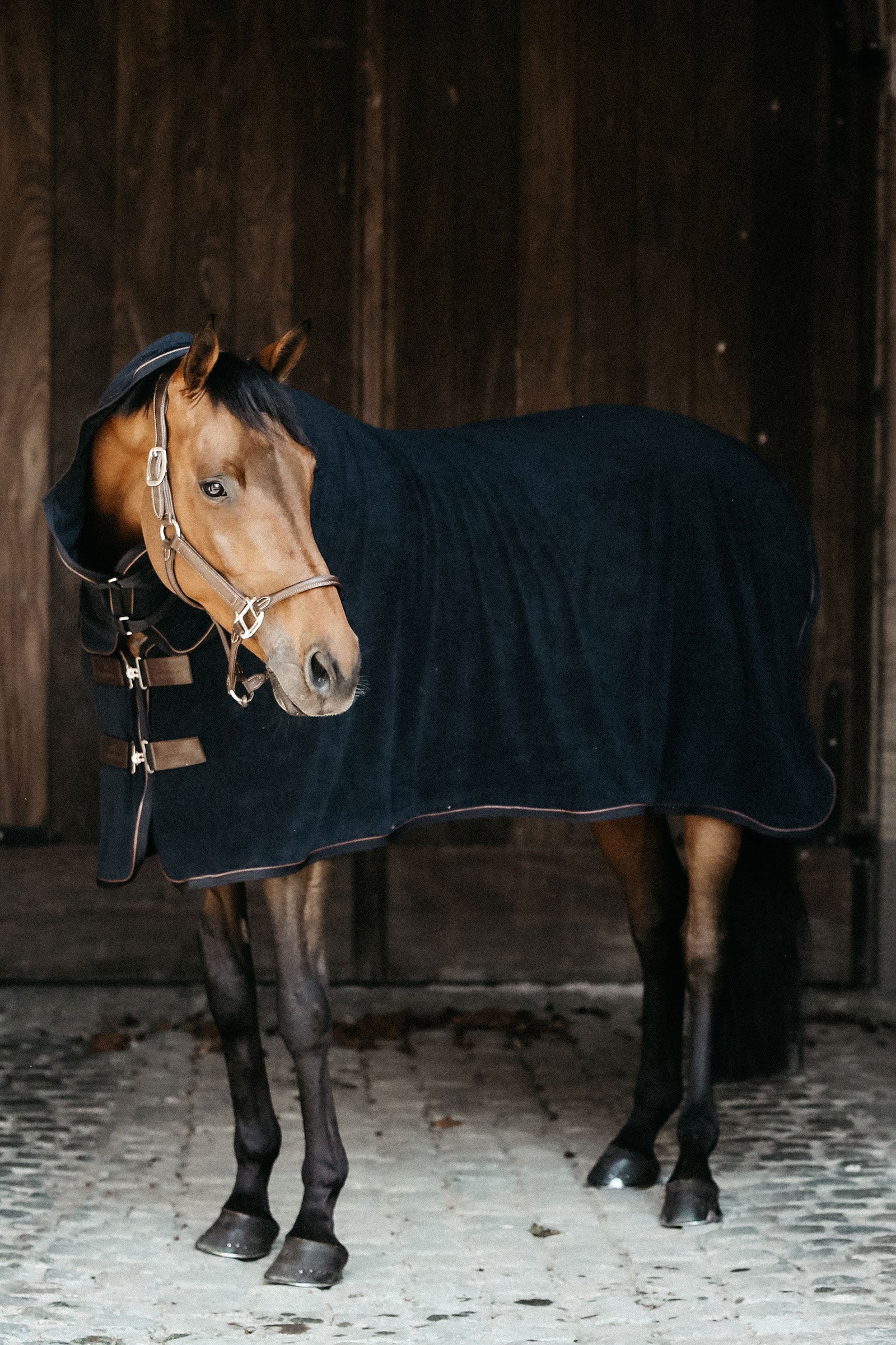 Kentucky Horsewear Towel Cooler Rug Horse Rugs