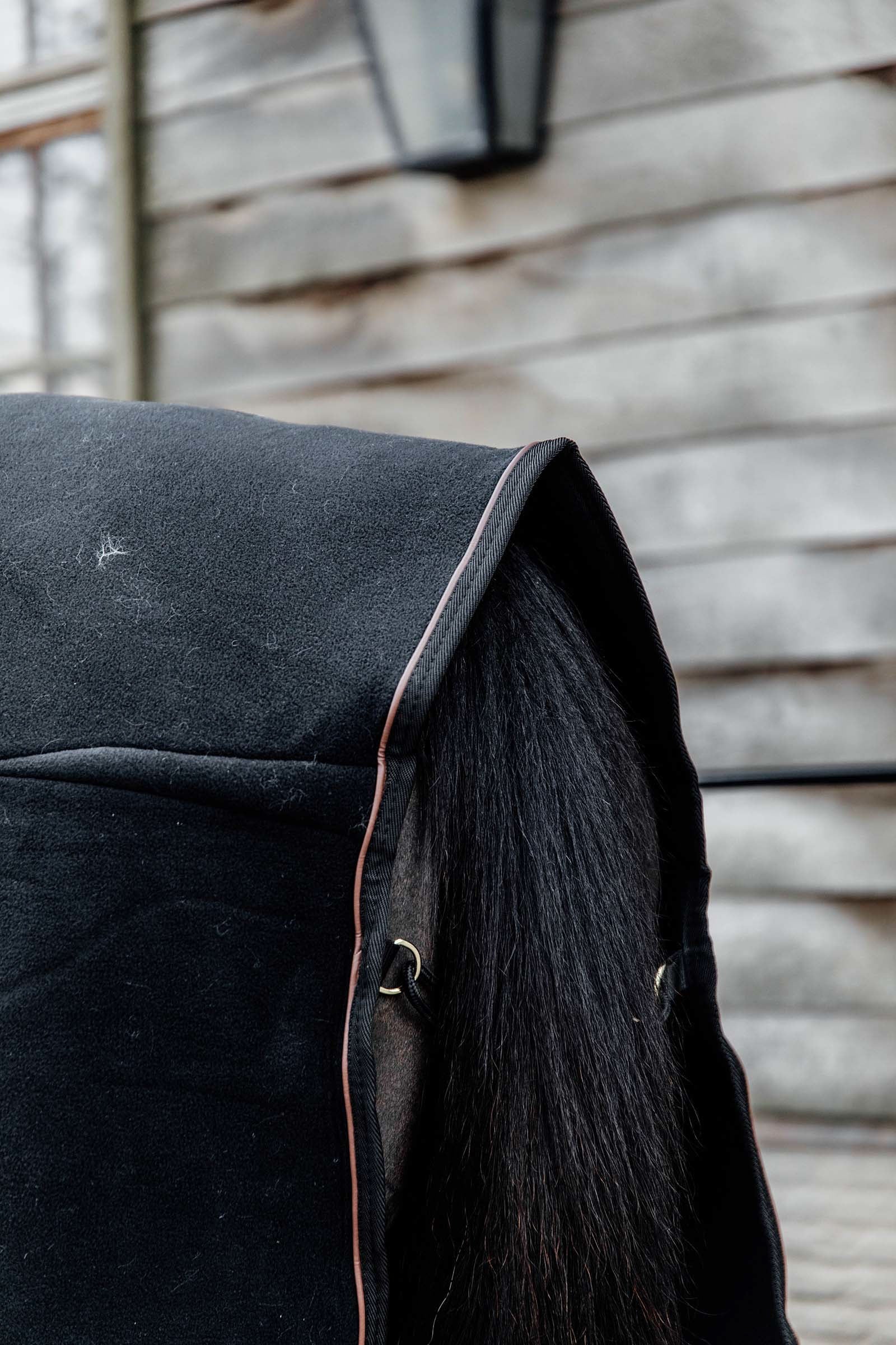 Kentucky Horsewear Fleece Show Rug Horse Rugs