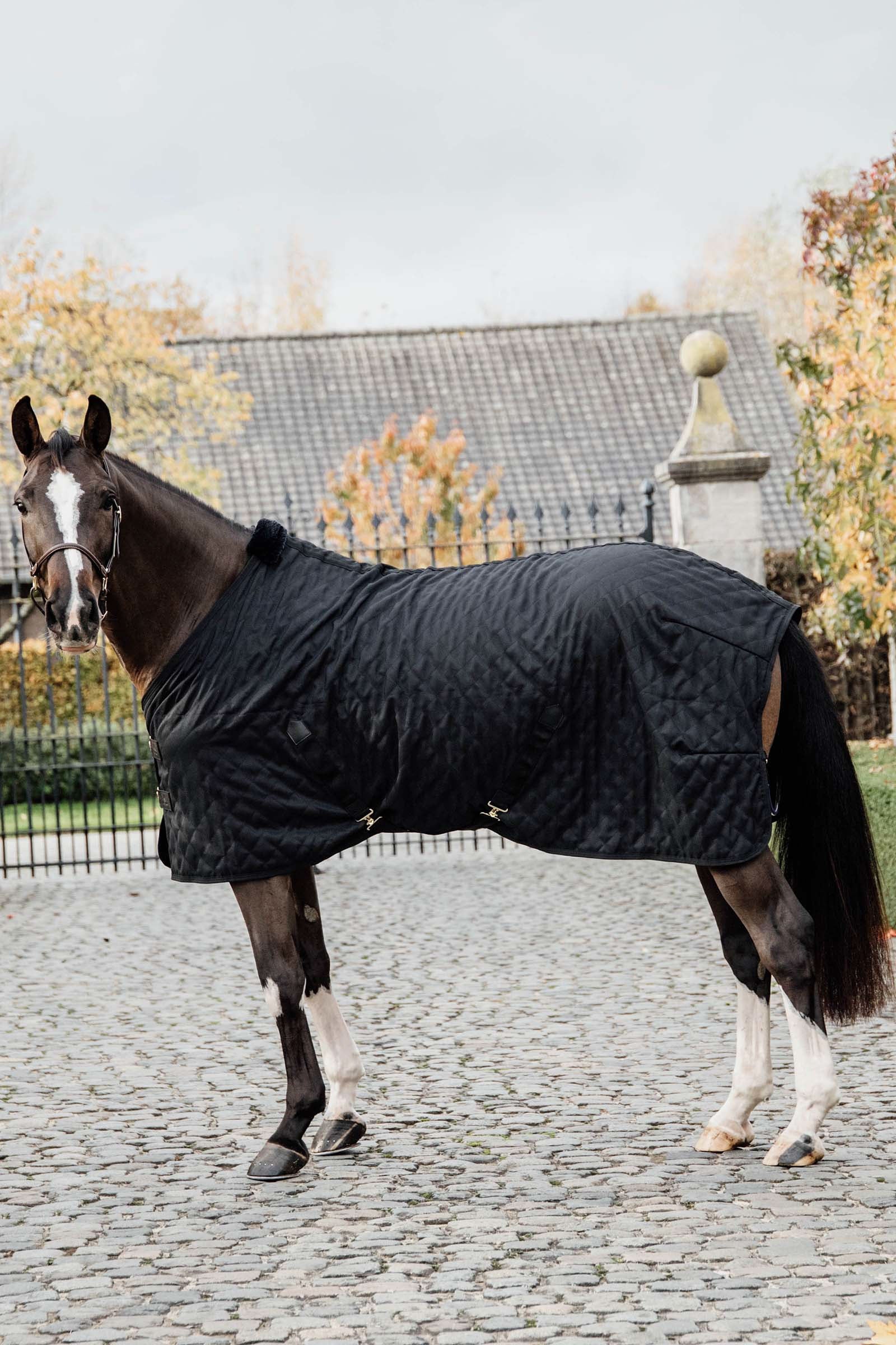 Kentucky Horsewear Stable Rug, 0g Loimet