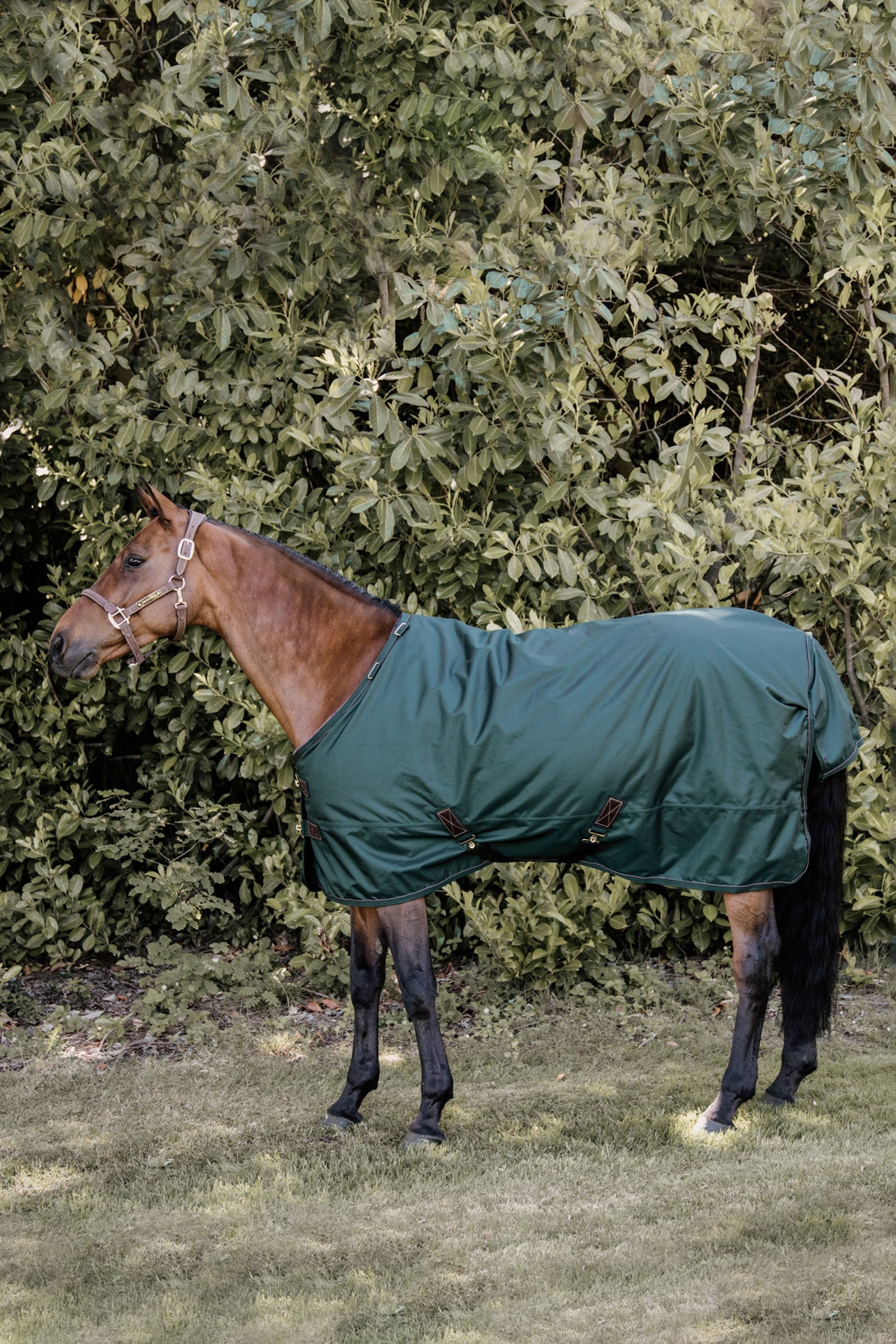 Kentucky Horsewear Turnout rug all weather waterproof pro 160g Horse Rugs