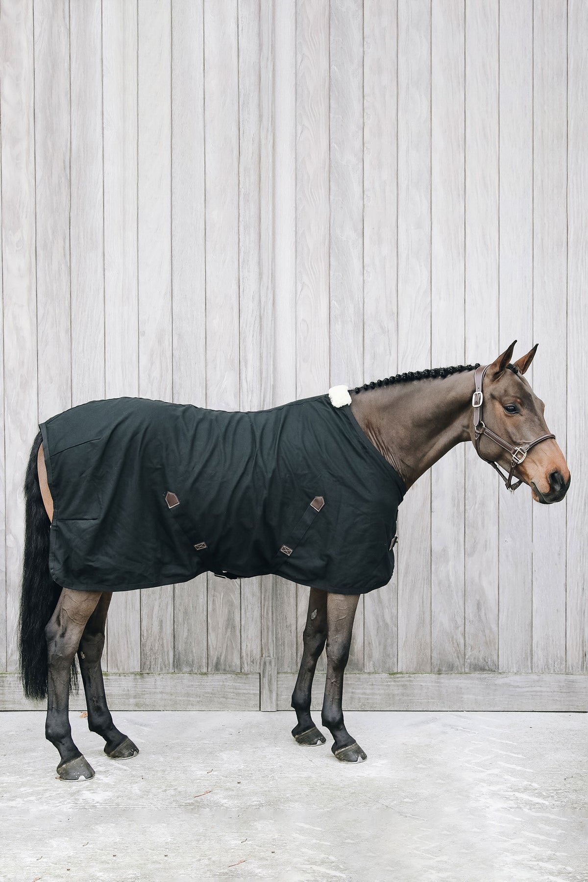 Kentucky Horsewear Kentucky Horsewear-puuvillaloimi Loimet