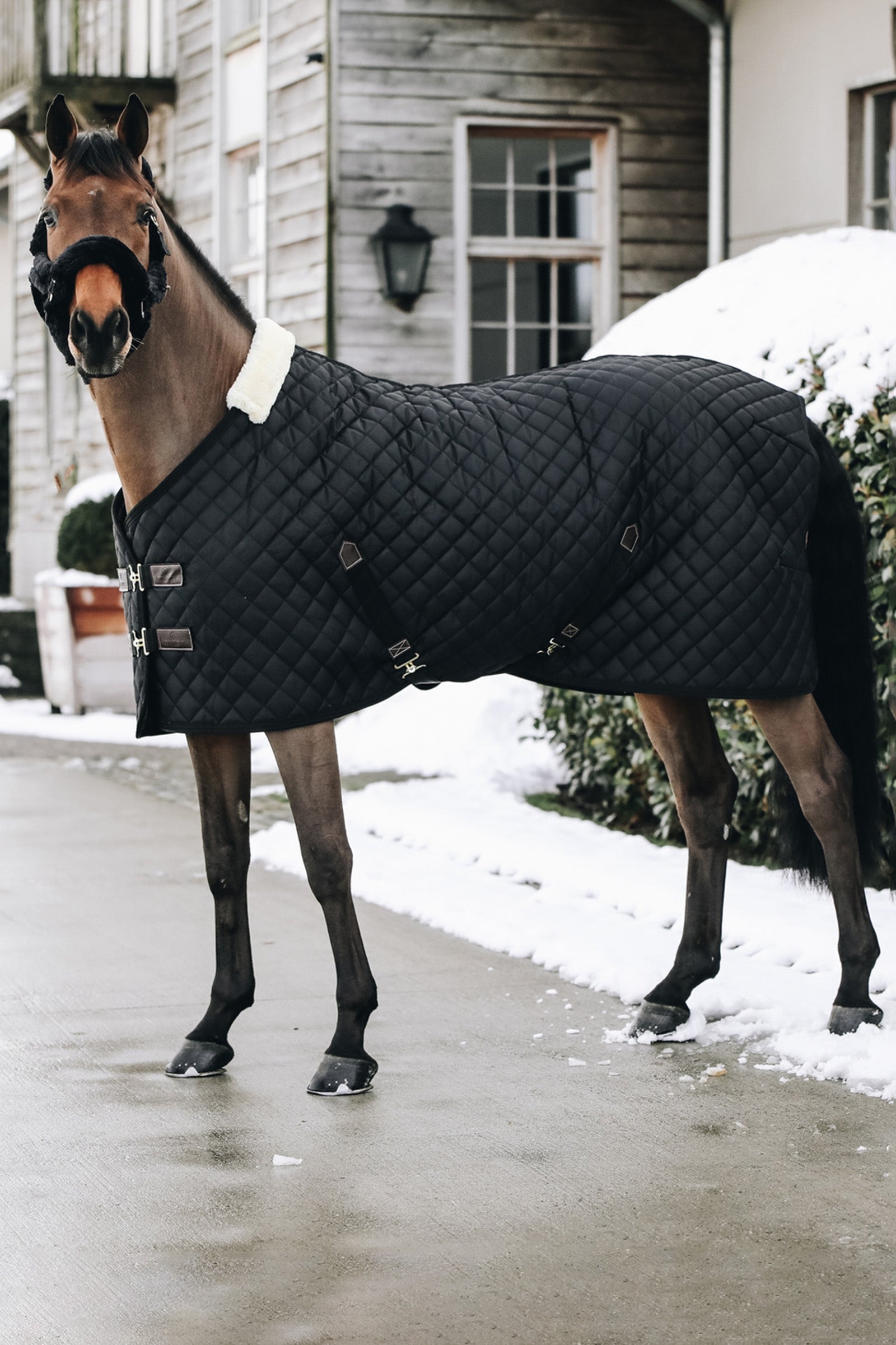 Kentucky Horsewear talliloimi, 400 g Loimet