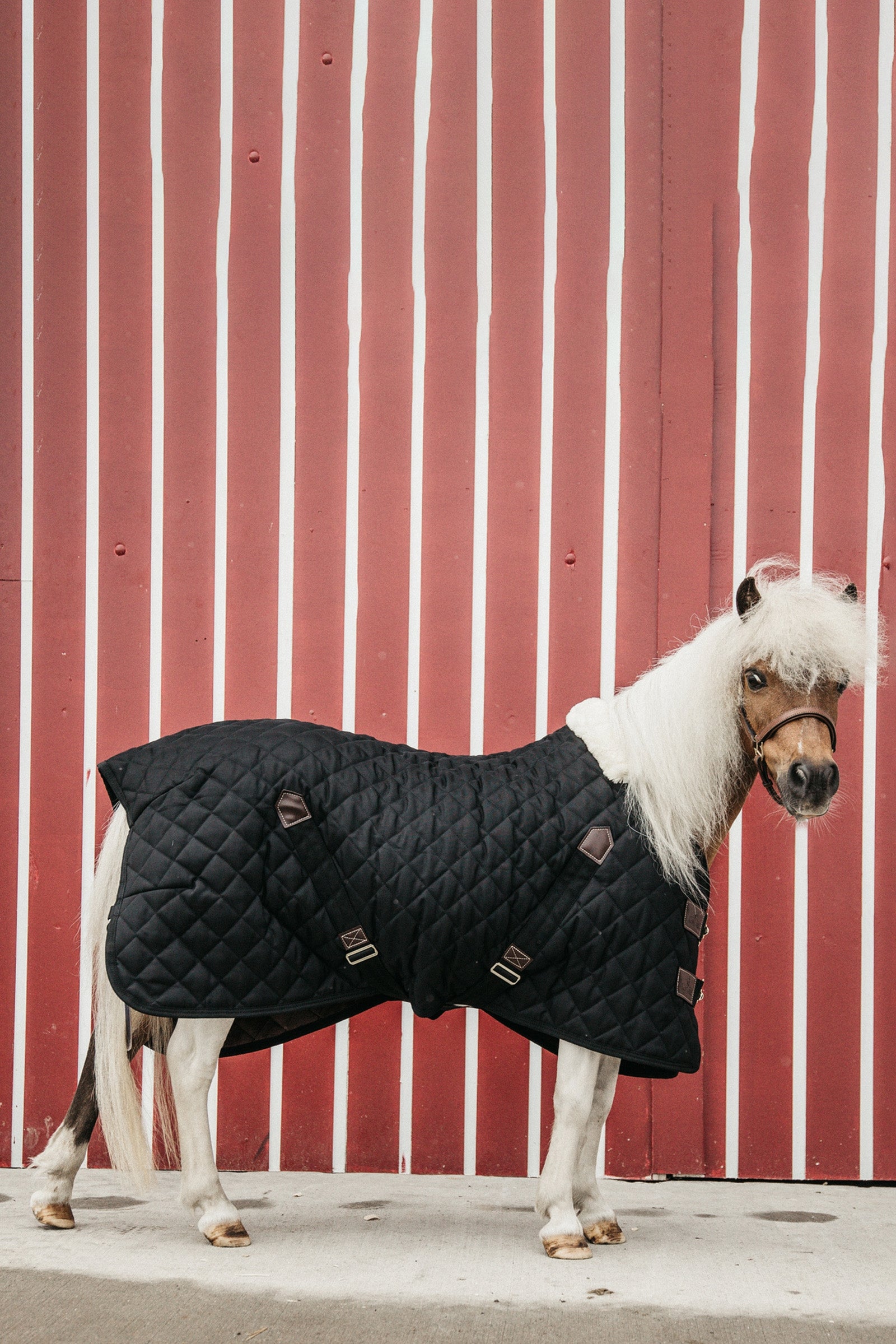 Kentucky Horsewear Stable Rug, 400g Horse Rugs