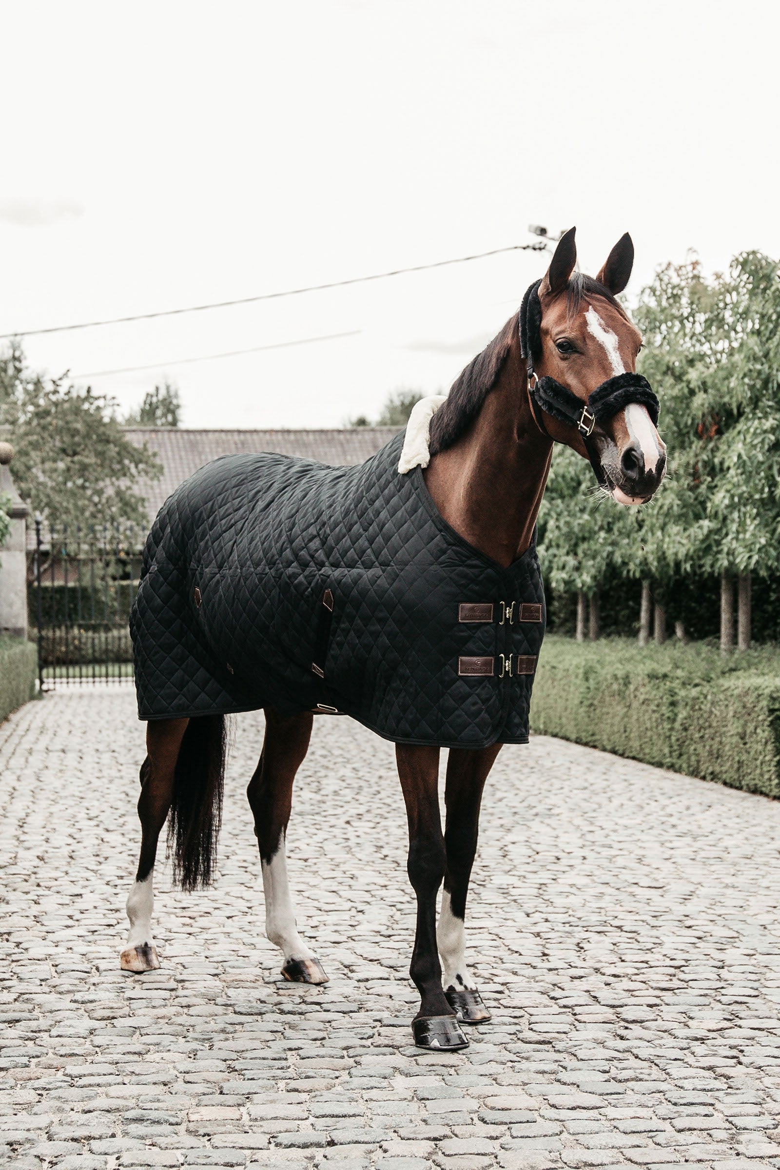 Kentucky Horsewear talliloimi, 400 g Loimet