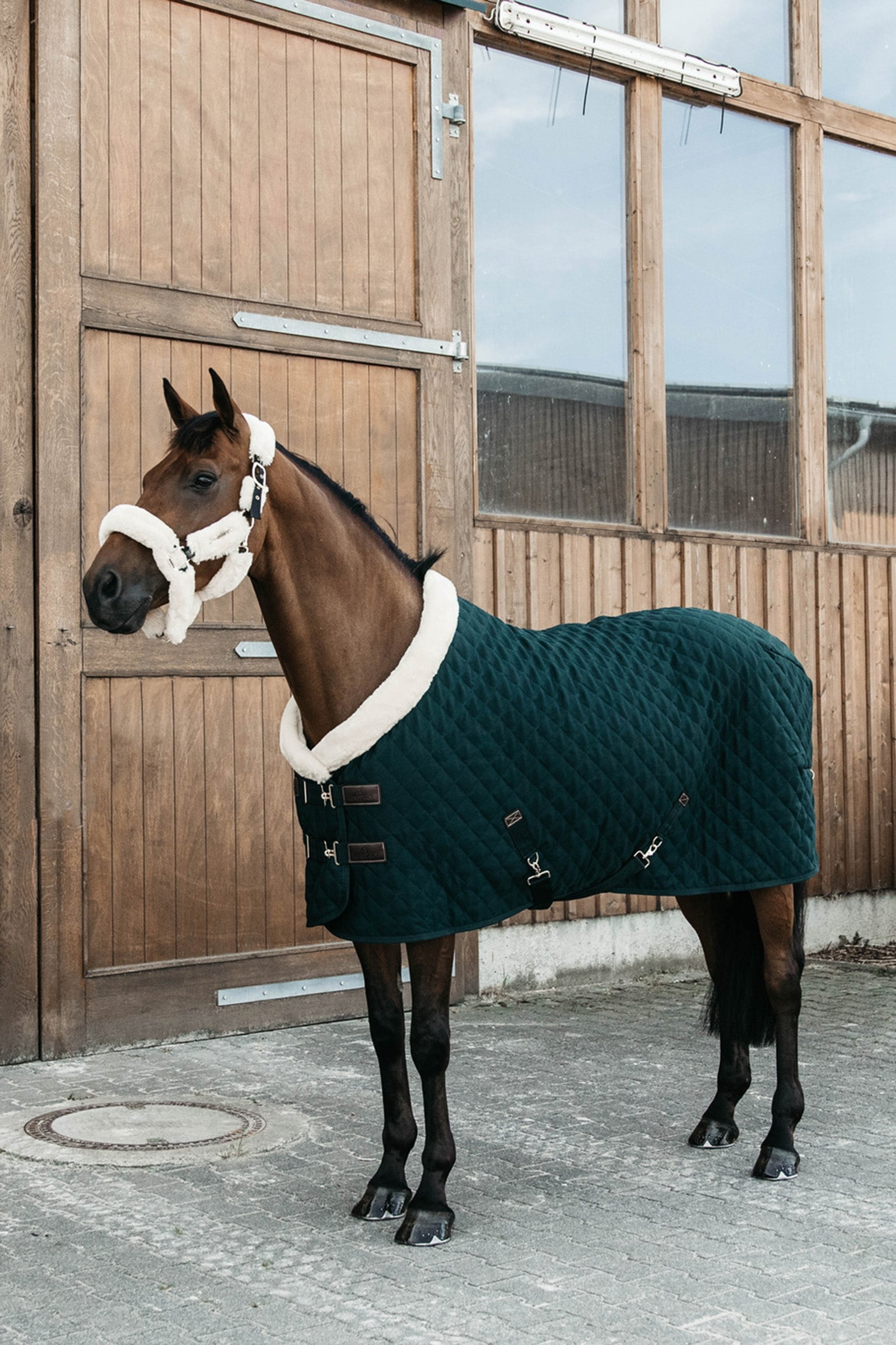 Kentucky Horsewear kilpailuloimi, 160 g Loimet