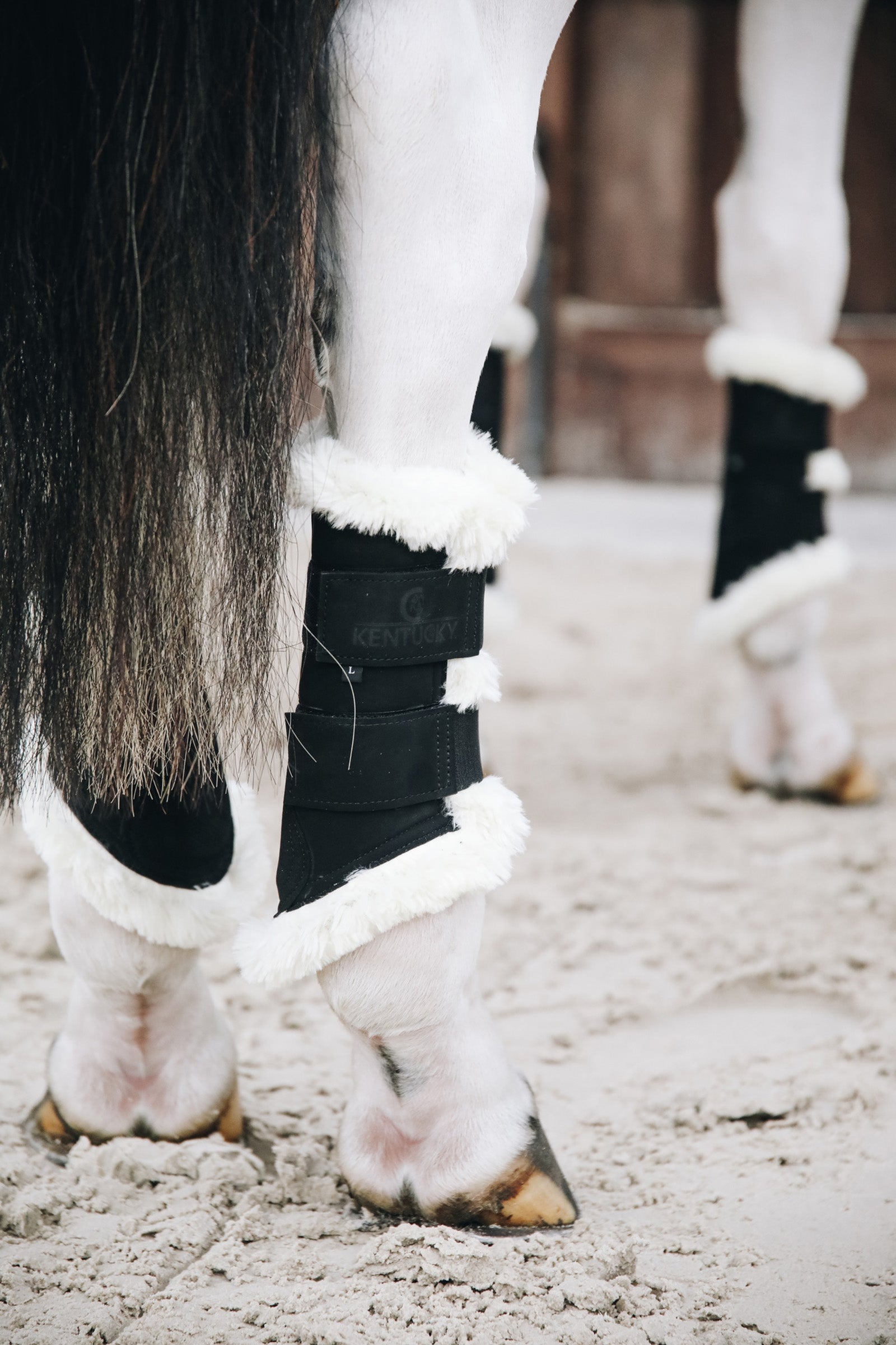 Kentucky Horsewear Turnout AIR suojat etujalkoihin Leg Protection & Hoof Protection for Horses