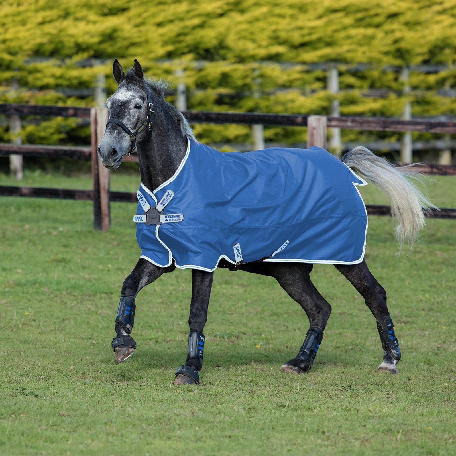 Horseware Amigo Hero 900 -ulkoloimi DF 50 g Loimet