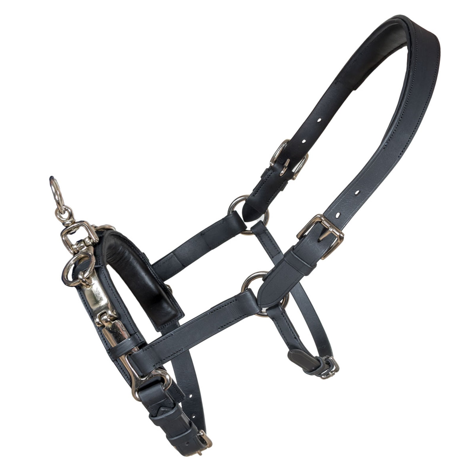 Karlslund Fengur Kapsun Juoksutus & ohjasajo