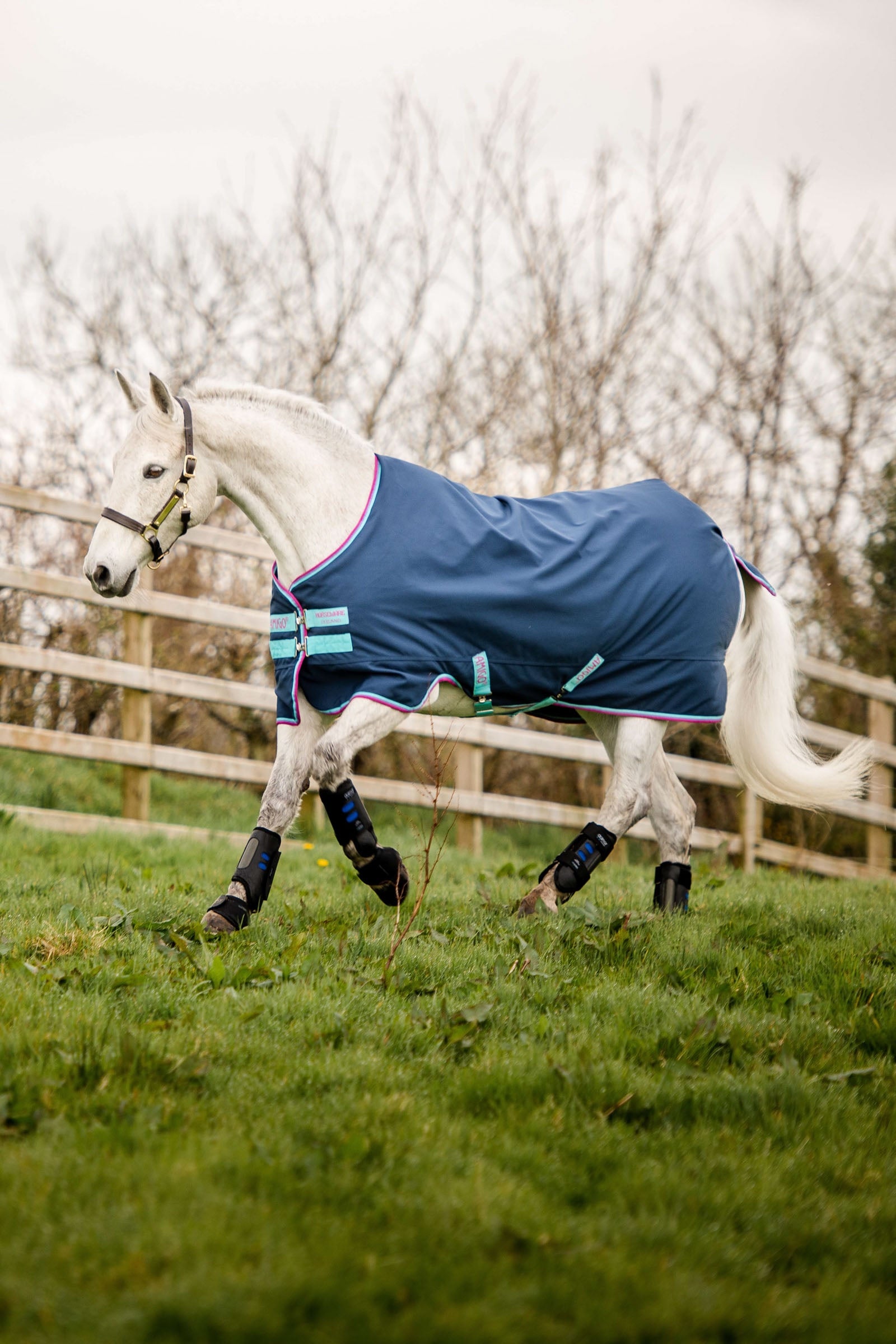 Horseware Amigo Hero 900 Pony Turnout, 0g Horse Rugs