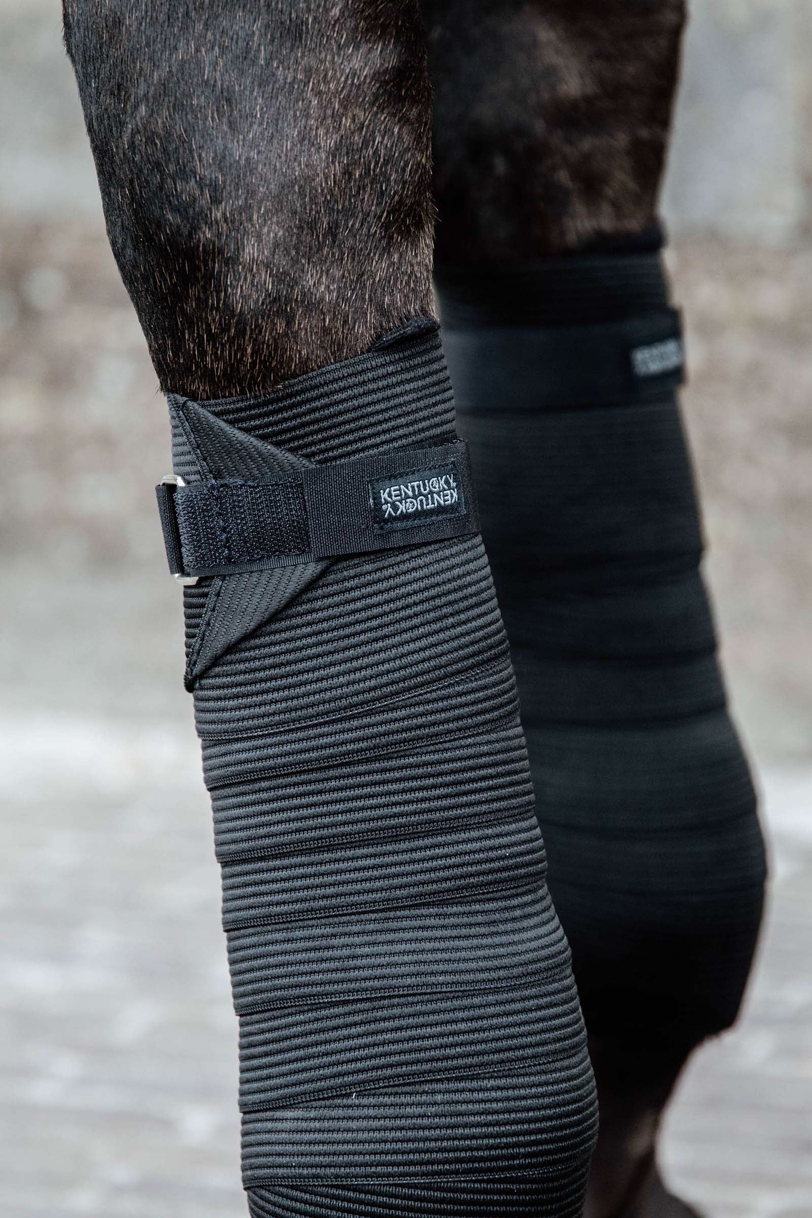 Kentucky Horsewear Polar Fleece & elastic bandage Leg Protection & Hoof Protection for Horses