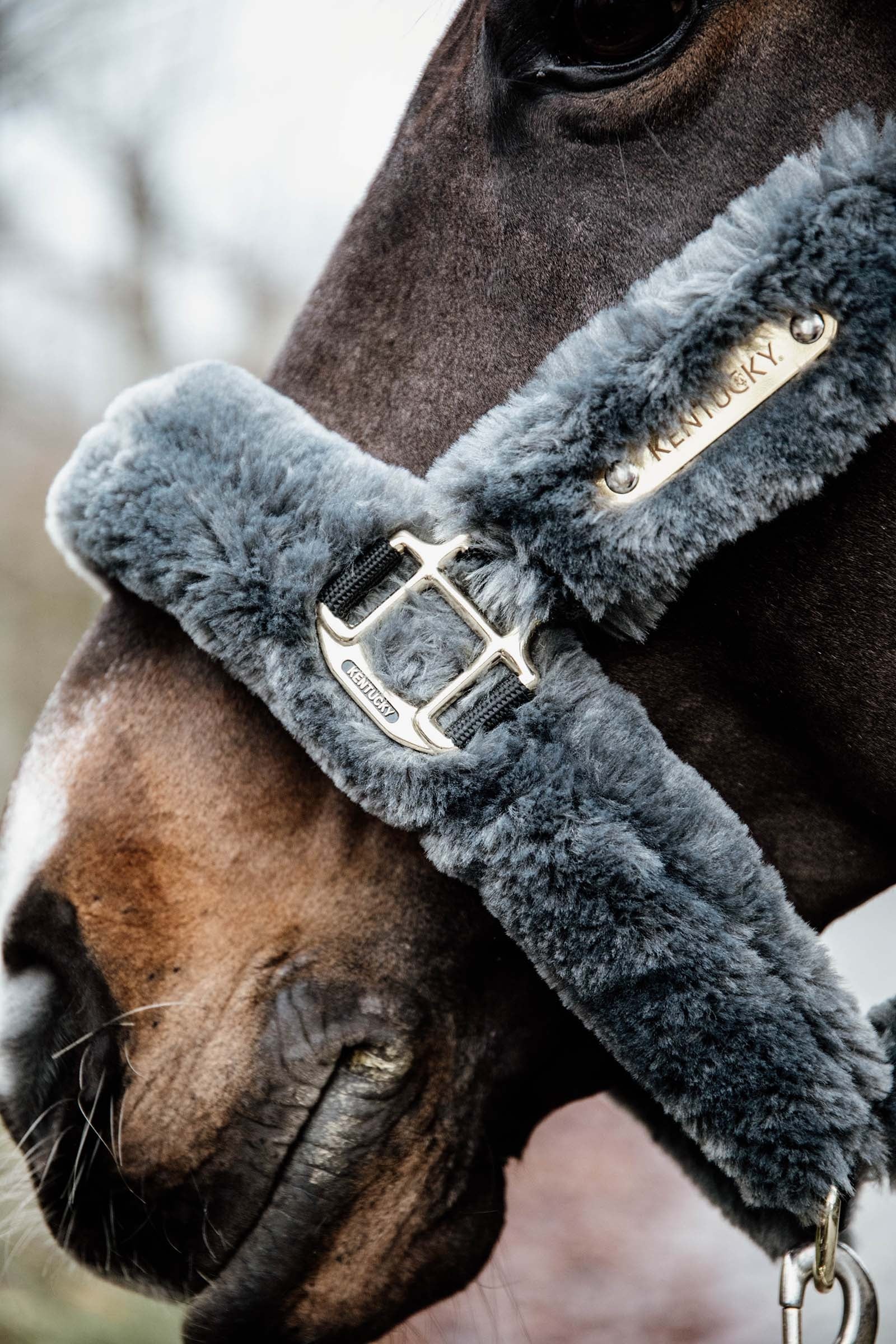 Kentucky Horsewear Shipping Halter With Sheepskin Halters & Leads