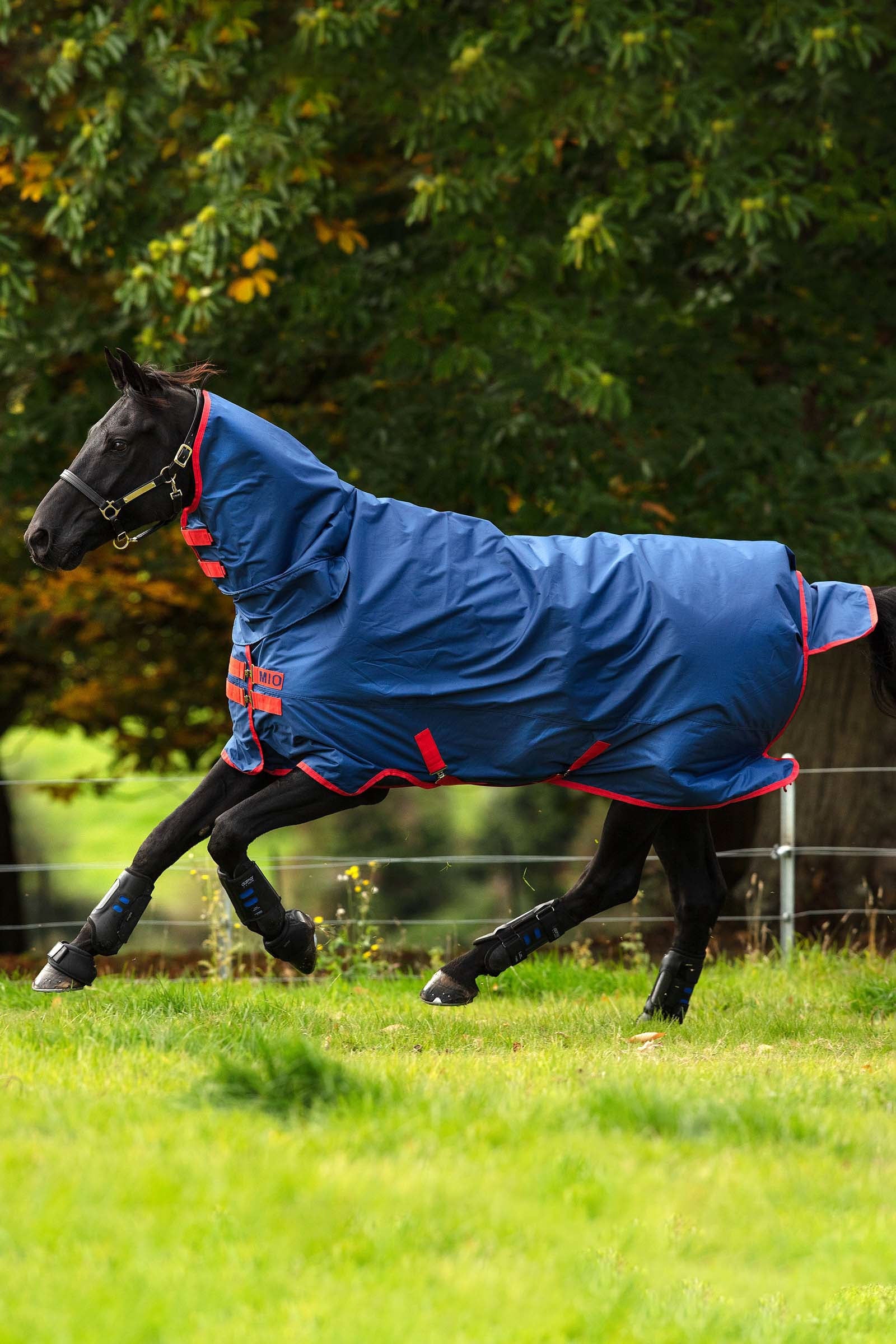 Horseware Mio ulkoloimi kiinteällä kaulakappaleella ja 350 g Loimet