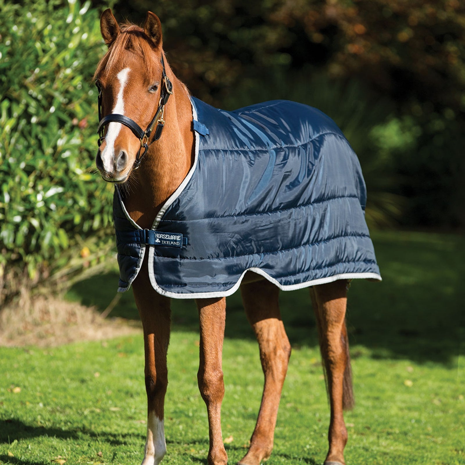 Horseware HW Pony irtovuori 100 g Loimet