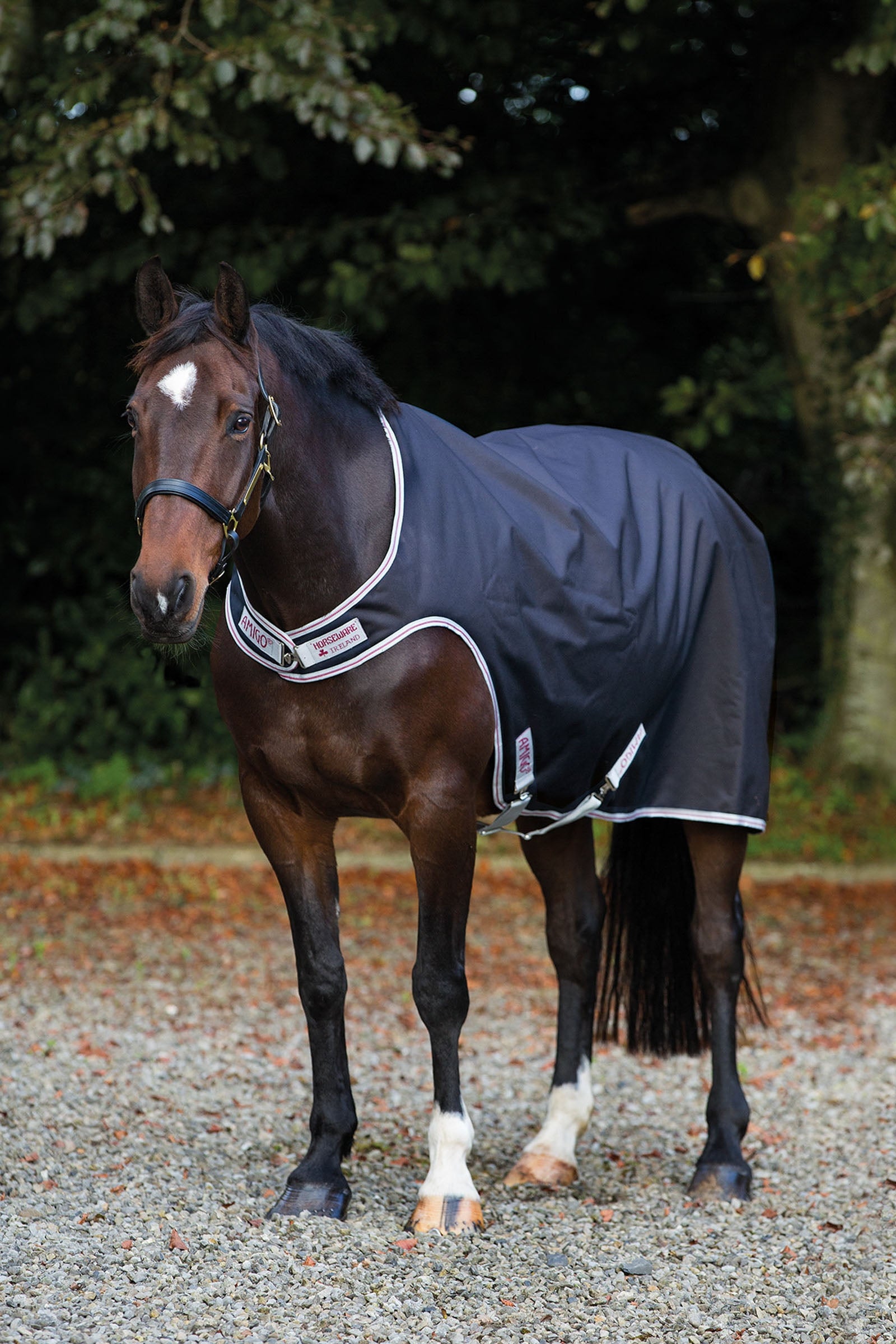 Horseware Amigo kävelytysloimi, 100g Loimet
